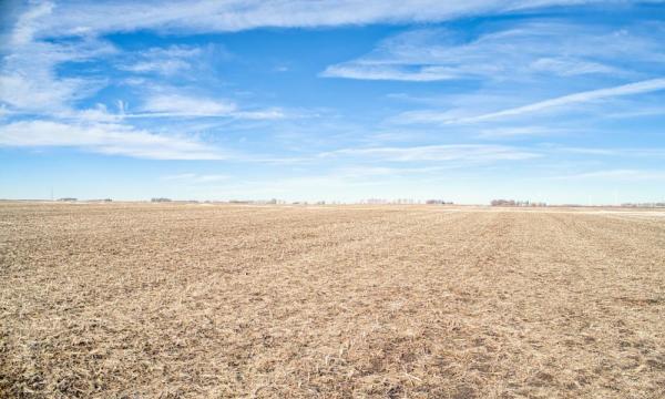 Dos and Don’ts When Selling Your Farmland for Auction
