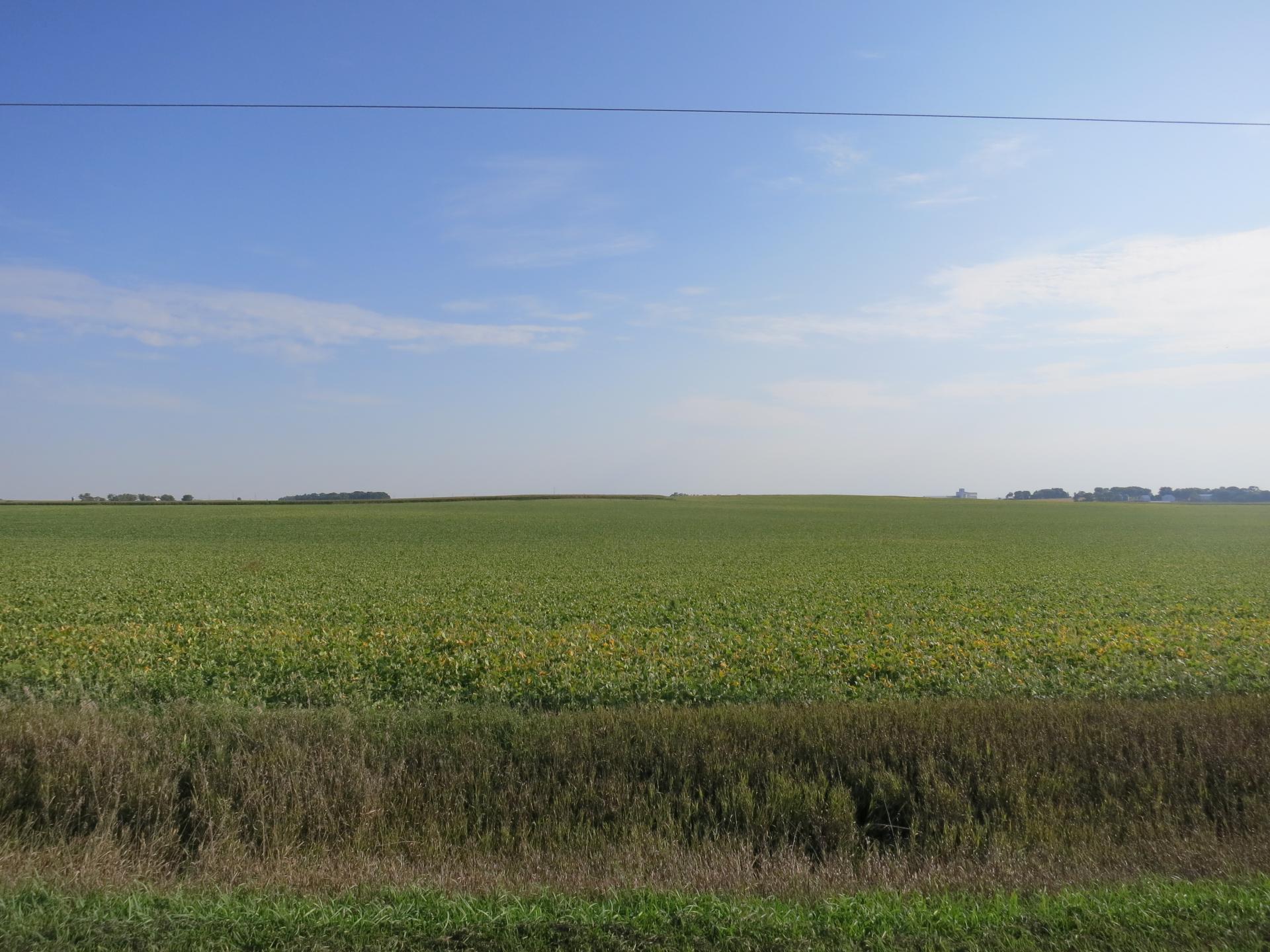 120.5 ACRES 3 Tracts Buena Vista County, Iowa Barnes Township Midwest Land Management