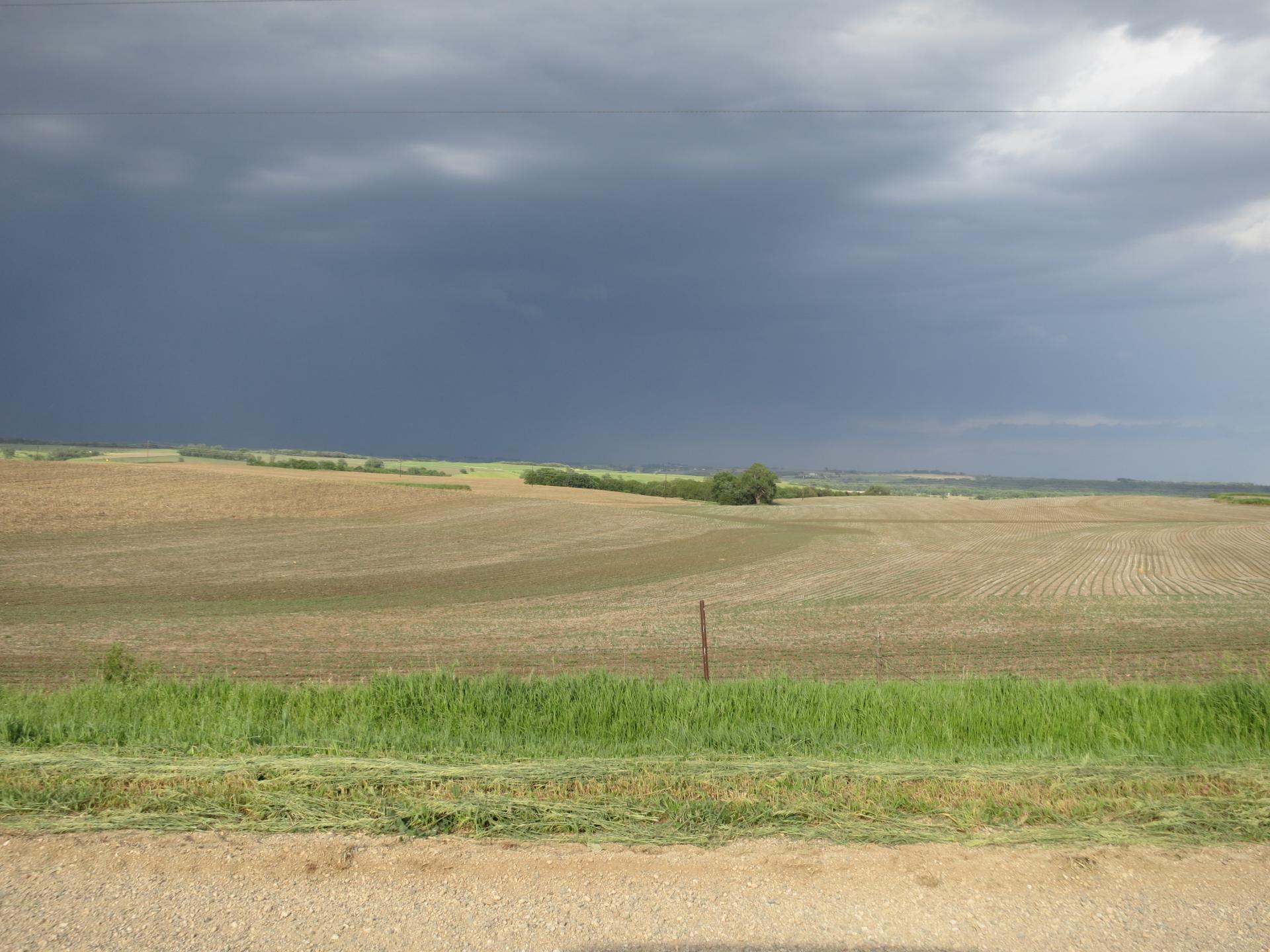 400 Acres Cherokee County, Iowa Pilot Township Midwest Land