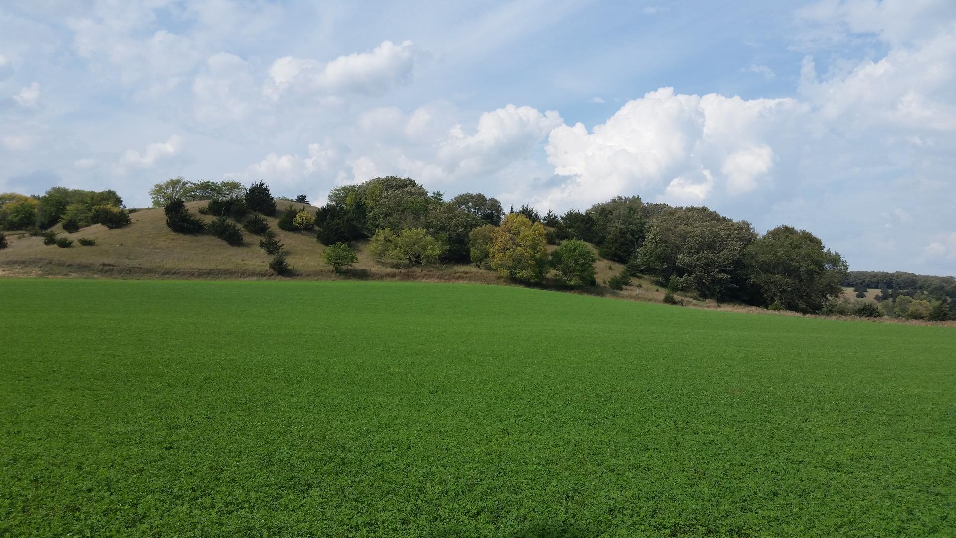 Acreage, Cropland, Timber, CRP Land Offered in 2 Tracts Clay County