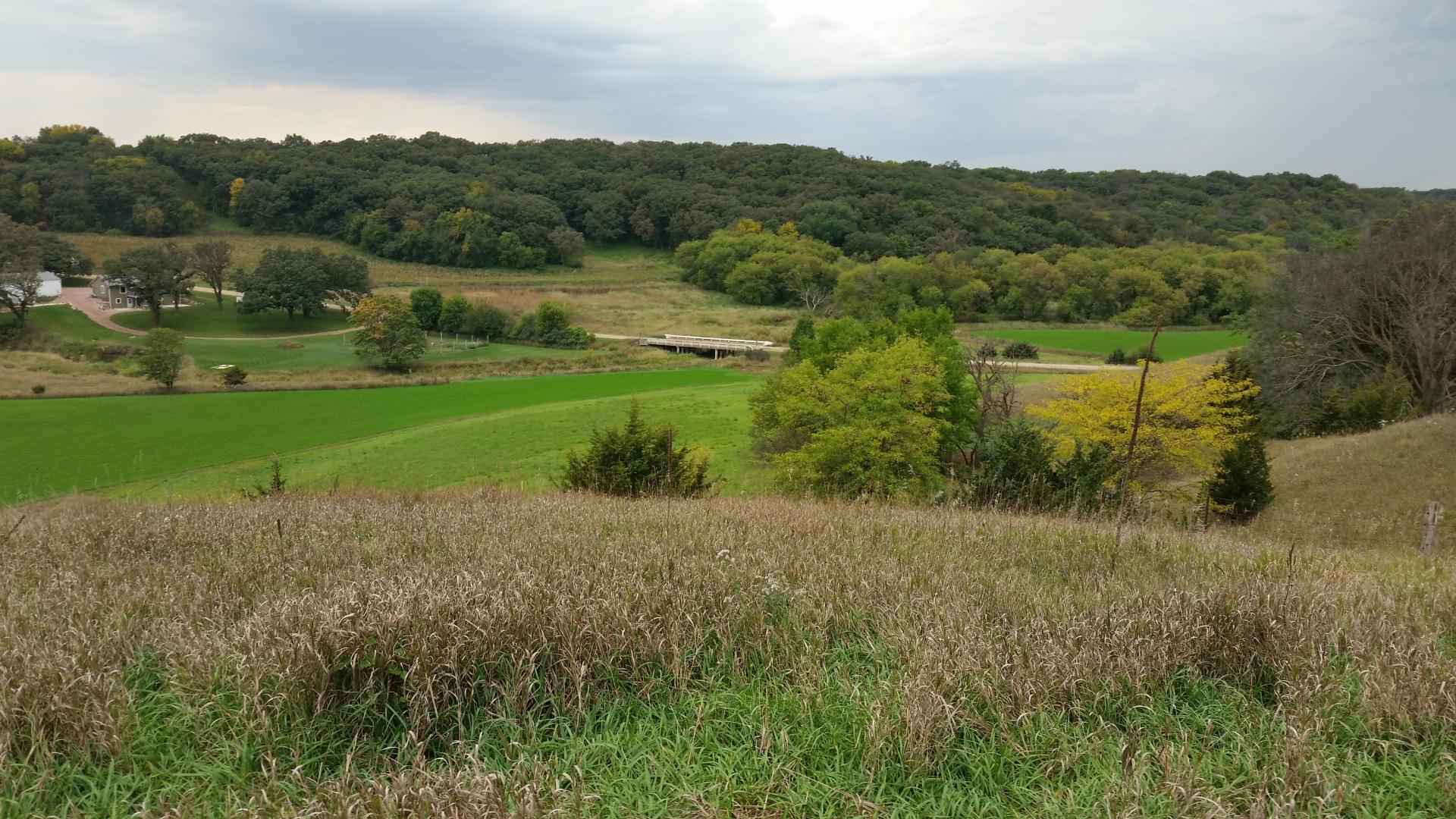 Acreage, Cropland, Timber, CRP Land Offered in 2 Tracts Clay County
