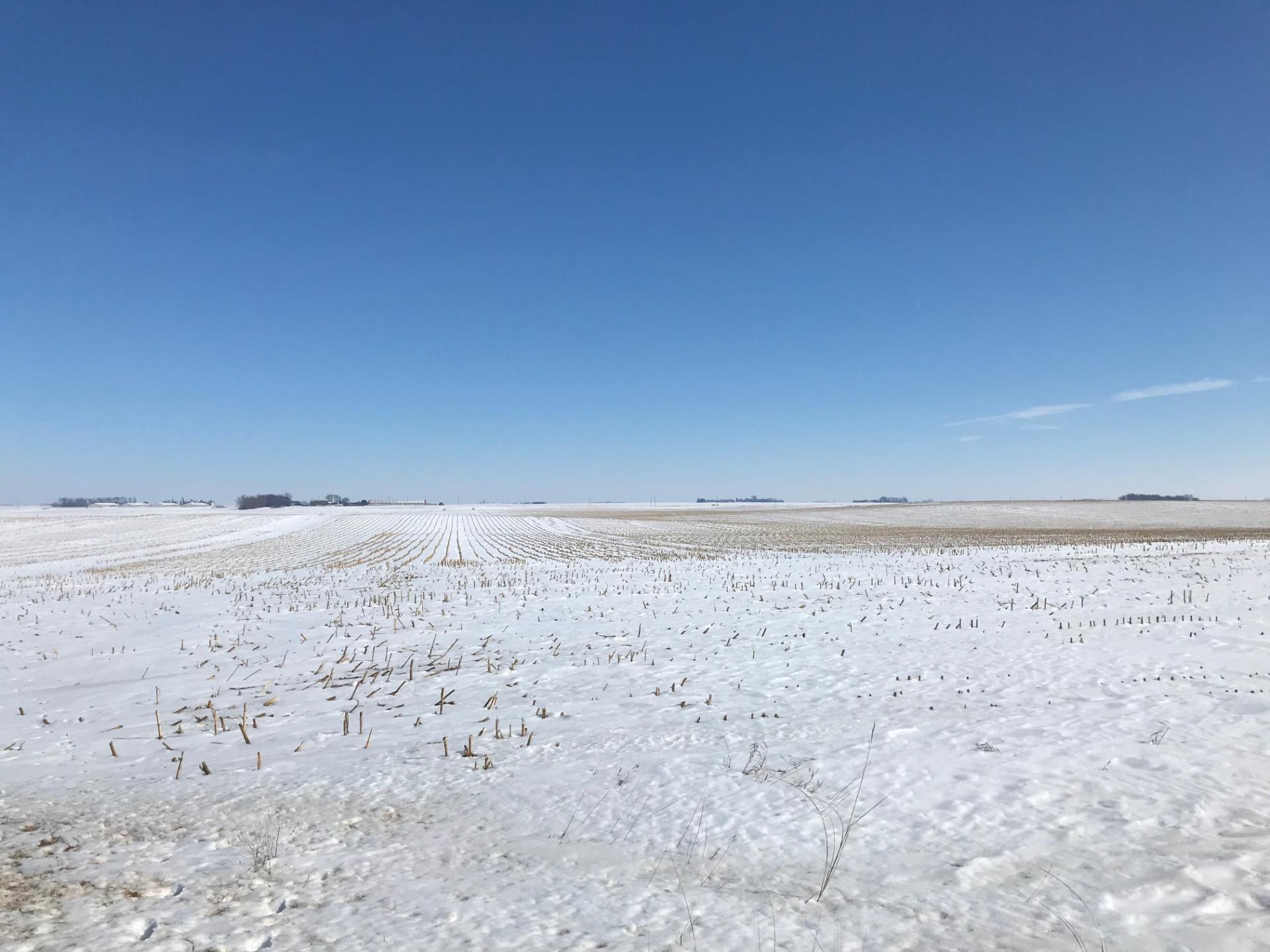 80 Acres m/l Emmet County Swan Lake Township Midwest Land Management