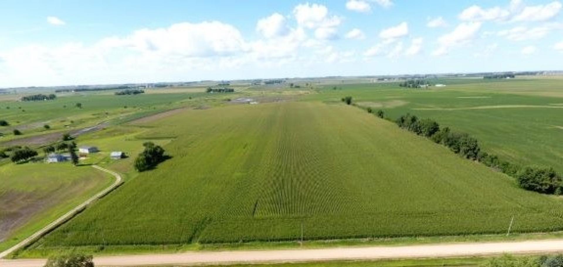 66 Acres m/l Clay County Meadow Township Midwest Land Management