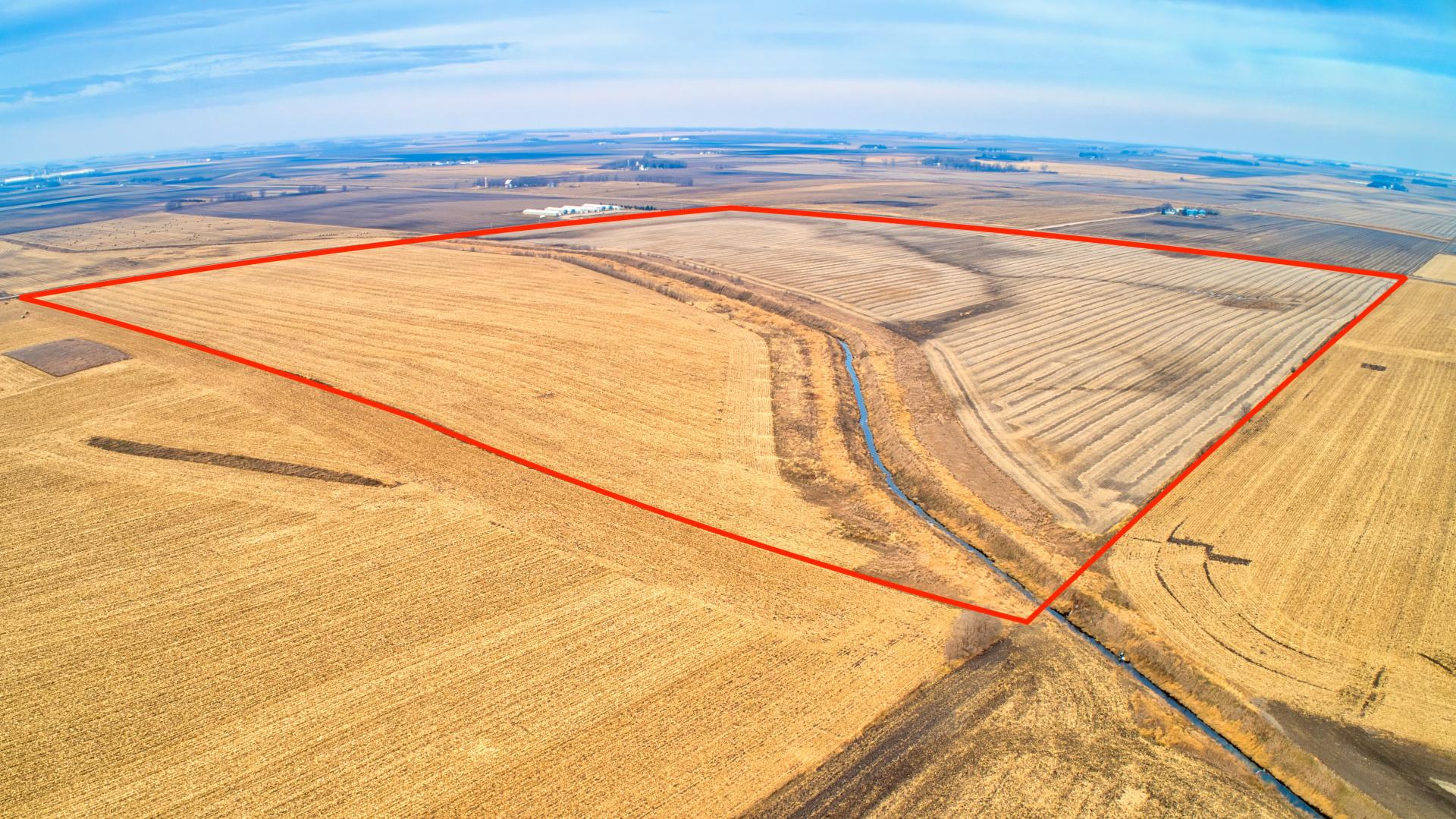 175 Acres m/l Buena Vista County Lincoln Township Midwest Land