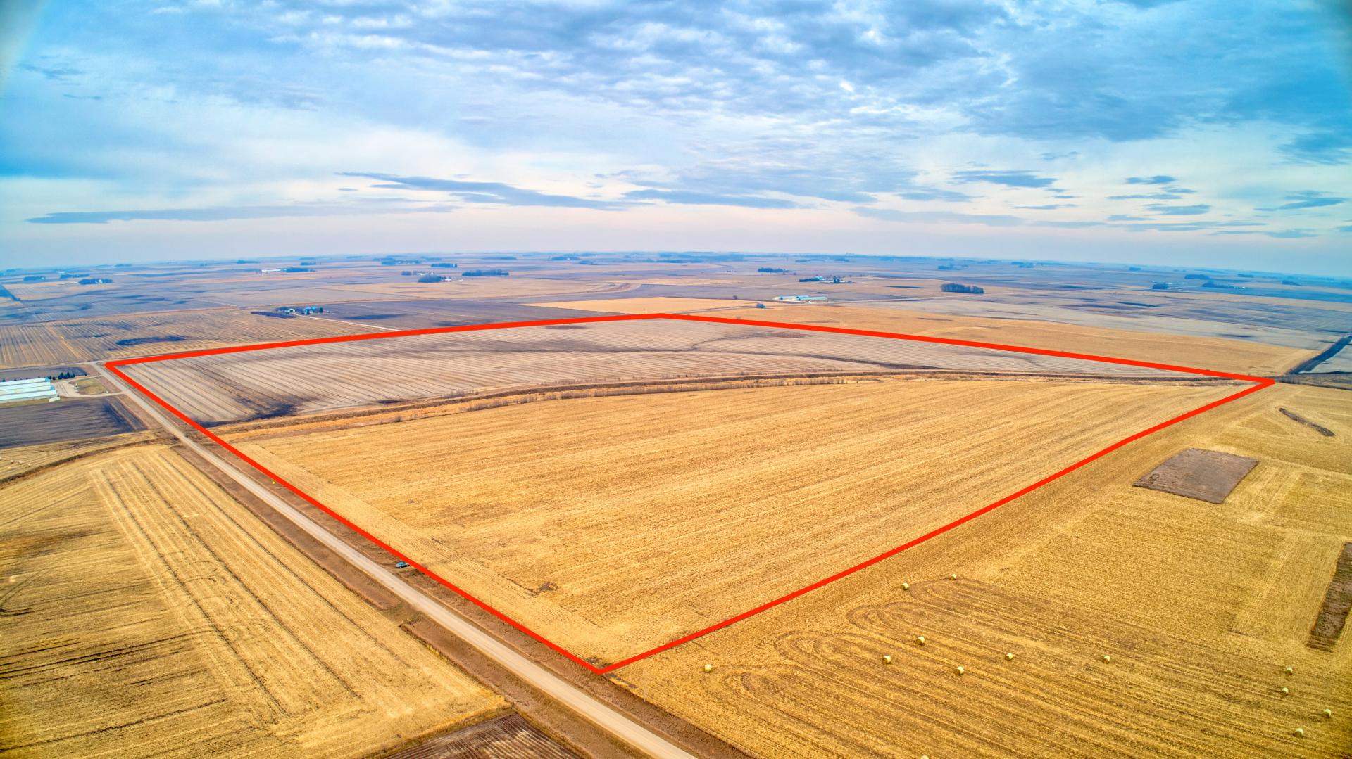 175 Acres m/l Buena Vista County Lincoln Township Midwest Land