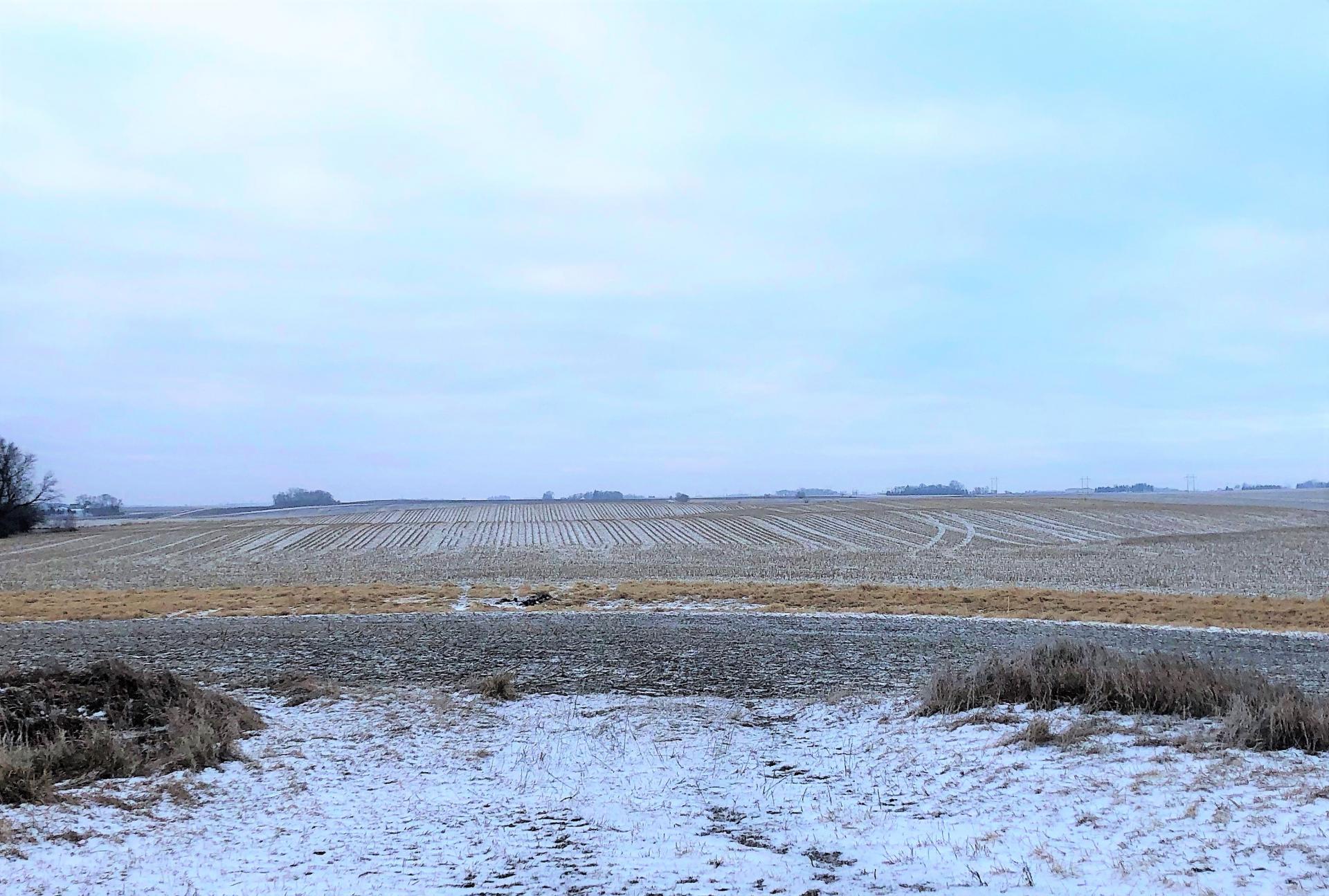 40 Acres m/l Buena Vista County Barnes Township Midwest Land