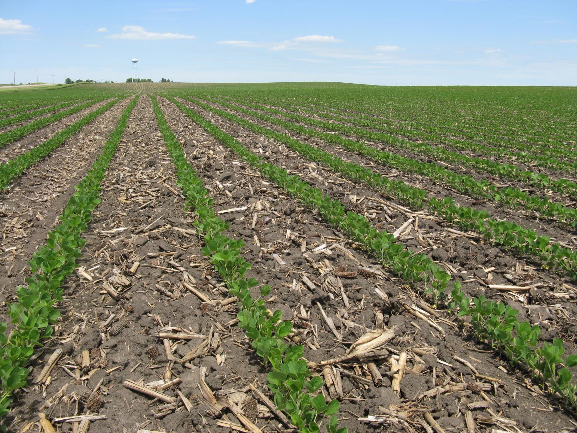 79.3 Surveyed Acres Clay County Logan Township Midwest Land