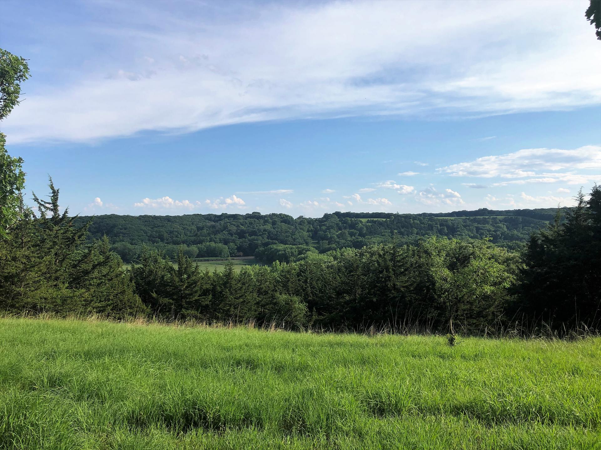 60 Acres Timber O'Brien County Waterman Township Midwest Land