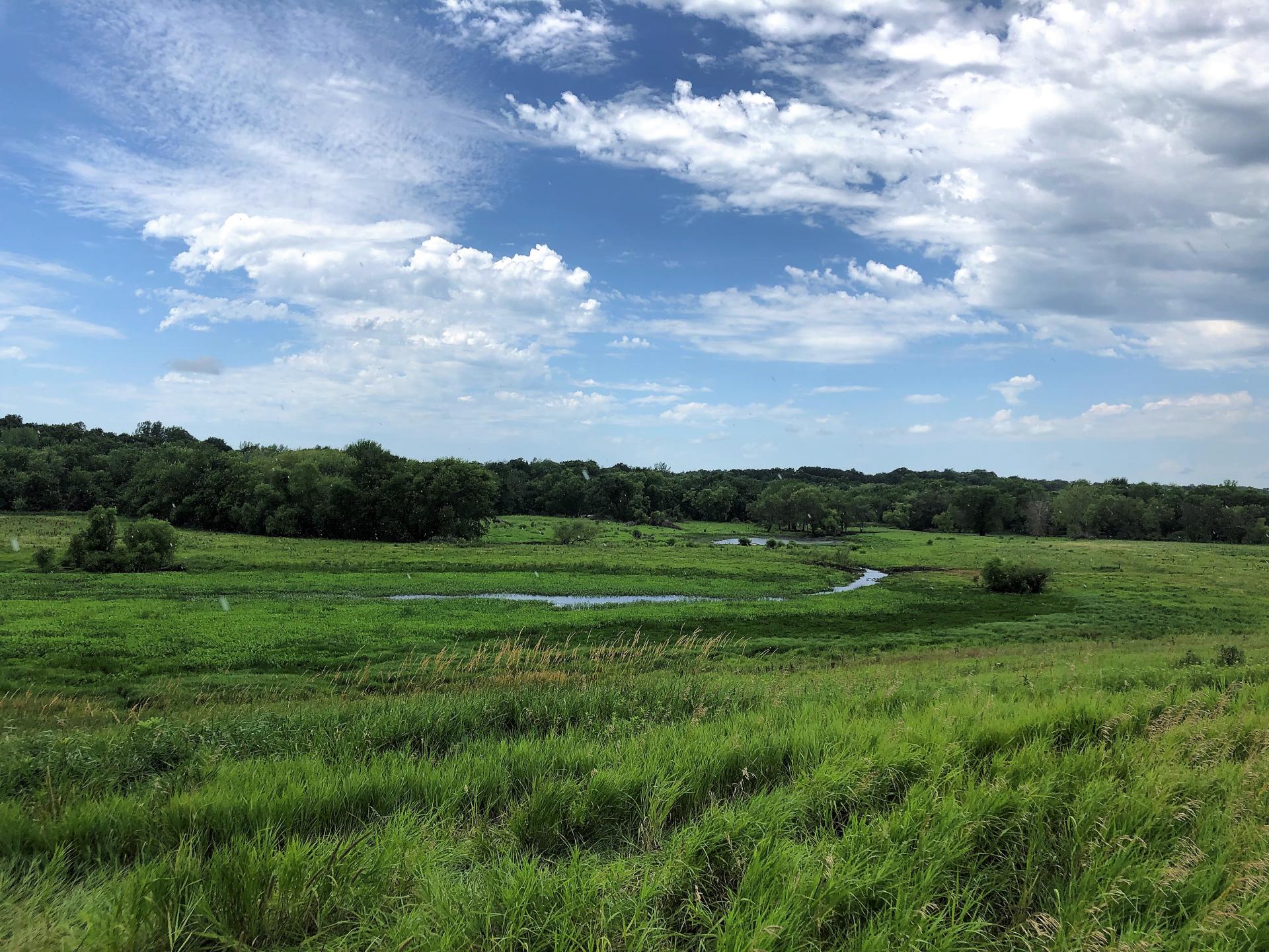 84 Acres Timber & Pasture Humboldt County Grove Township Midwest