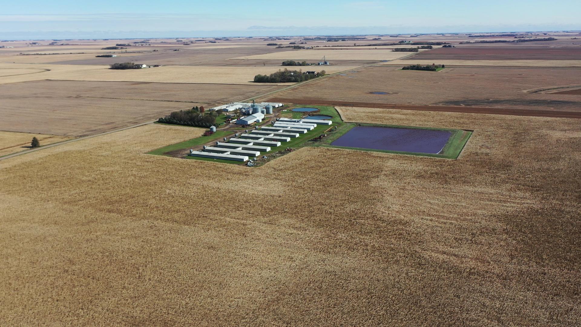 Swine Facility Buena Vista County Poland Township Midwest Land