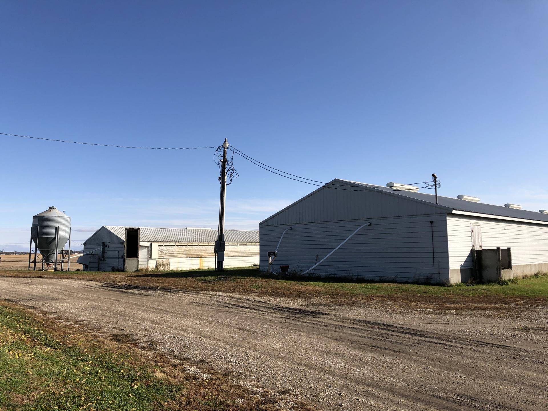 Swine Facility Buena Vista County Poland Township Midwest Land