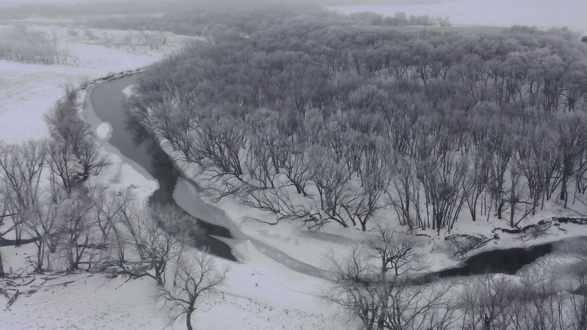 84 Acres Timber & Pasture Humboldt County Grove Township Midwest