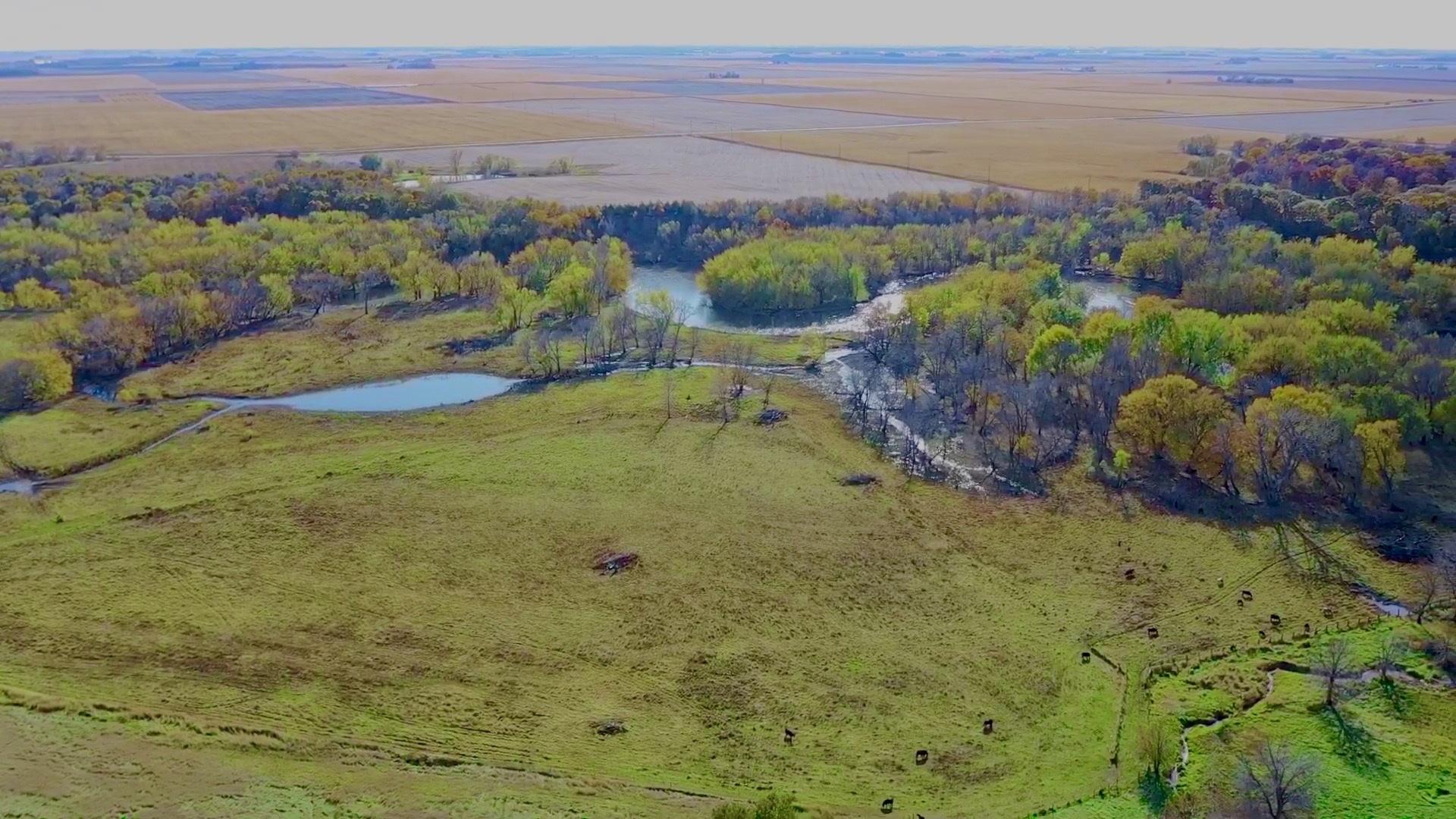 84 Acres Timber & Pasture Humboldt County Grove Township Midwest