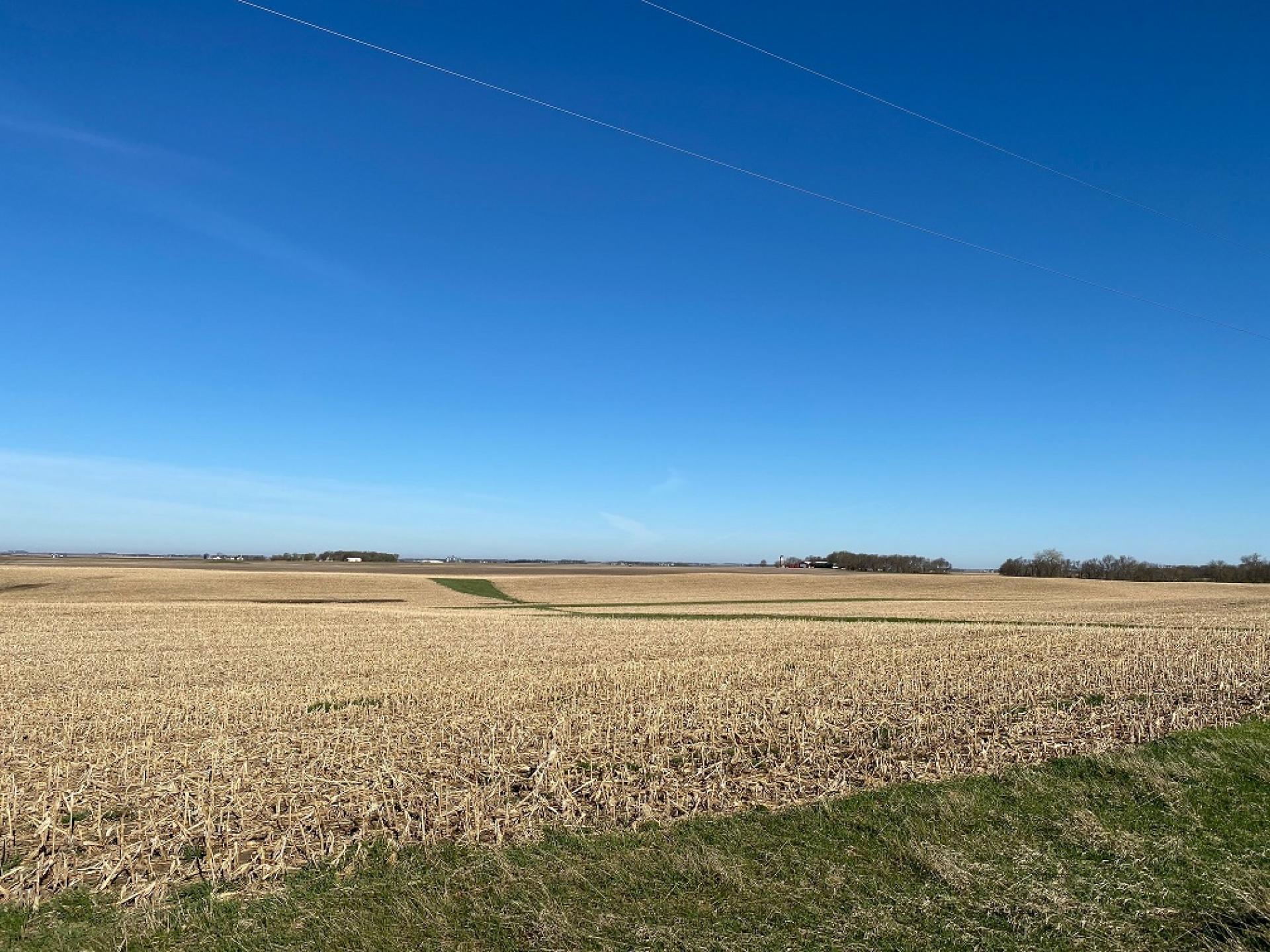 149.56 Surveyed Acres Emmet County Twelve Mile Lake Township Midwest Land Management & Real