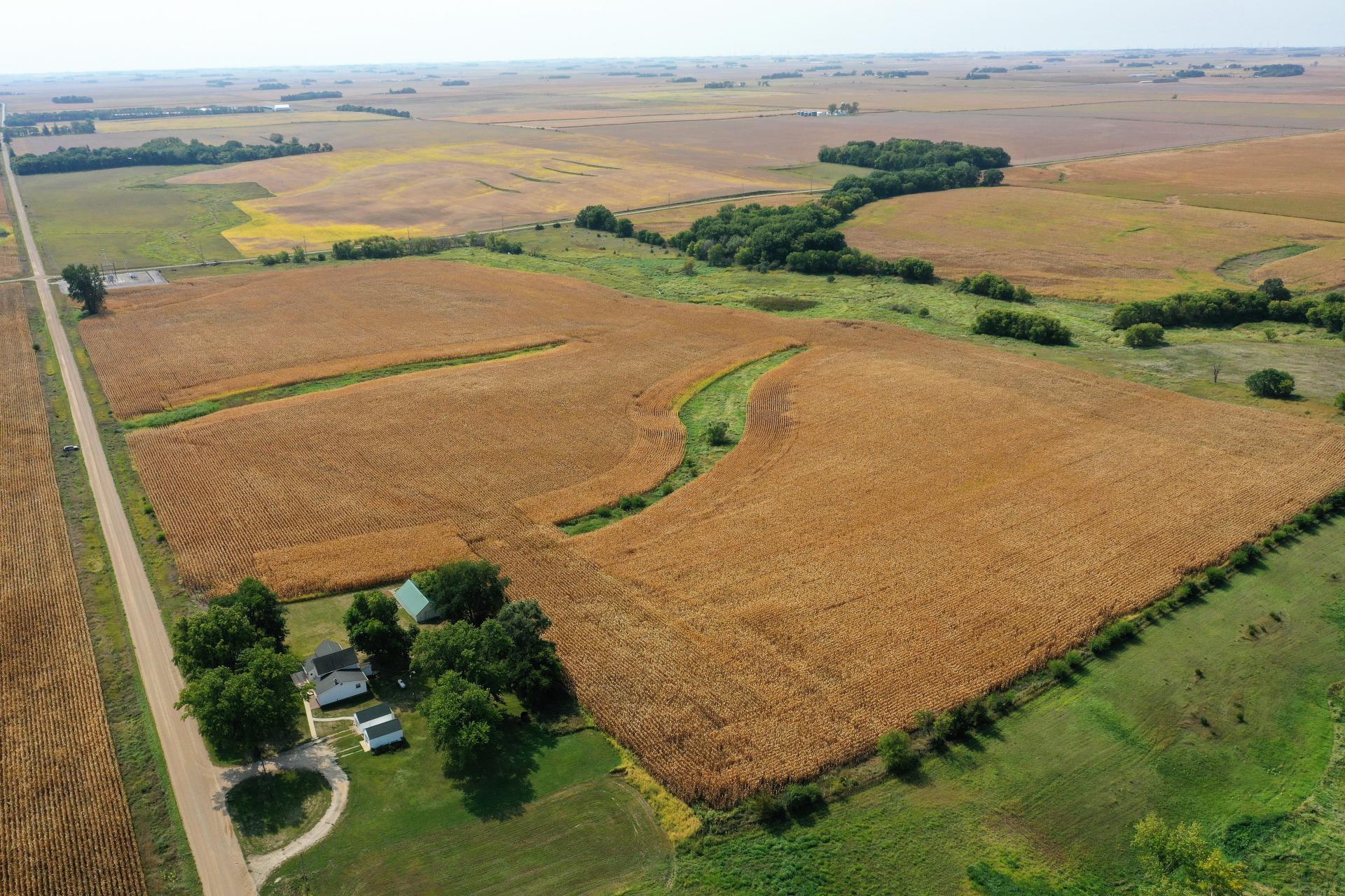66 Acres m/l Buena Vista County Barnes Township Midwest Land