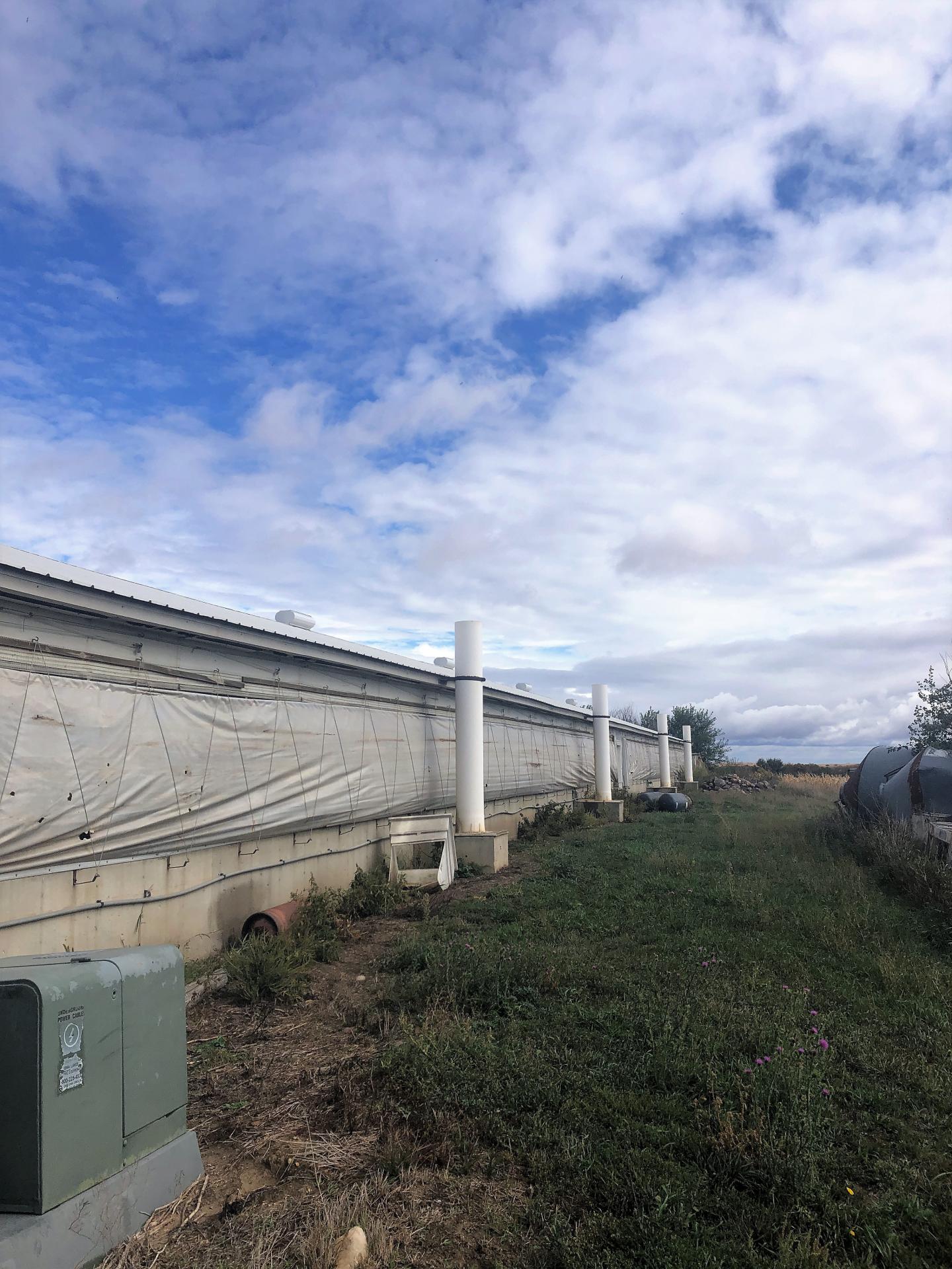 2,080 Head Swine Facility Clay County Logan Township Midwest Land