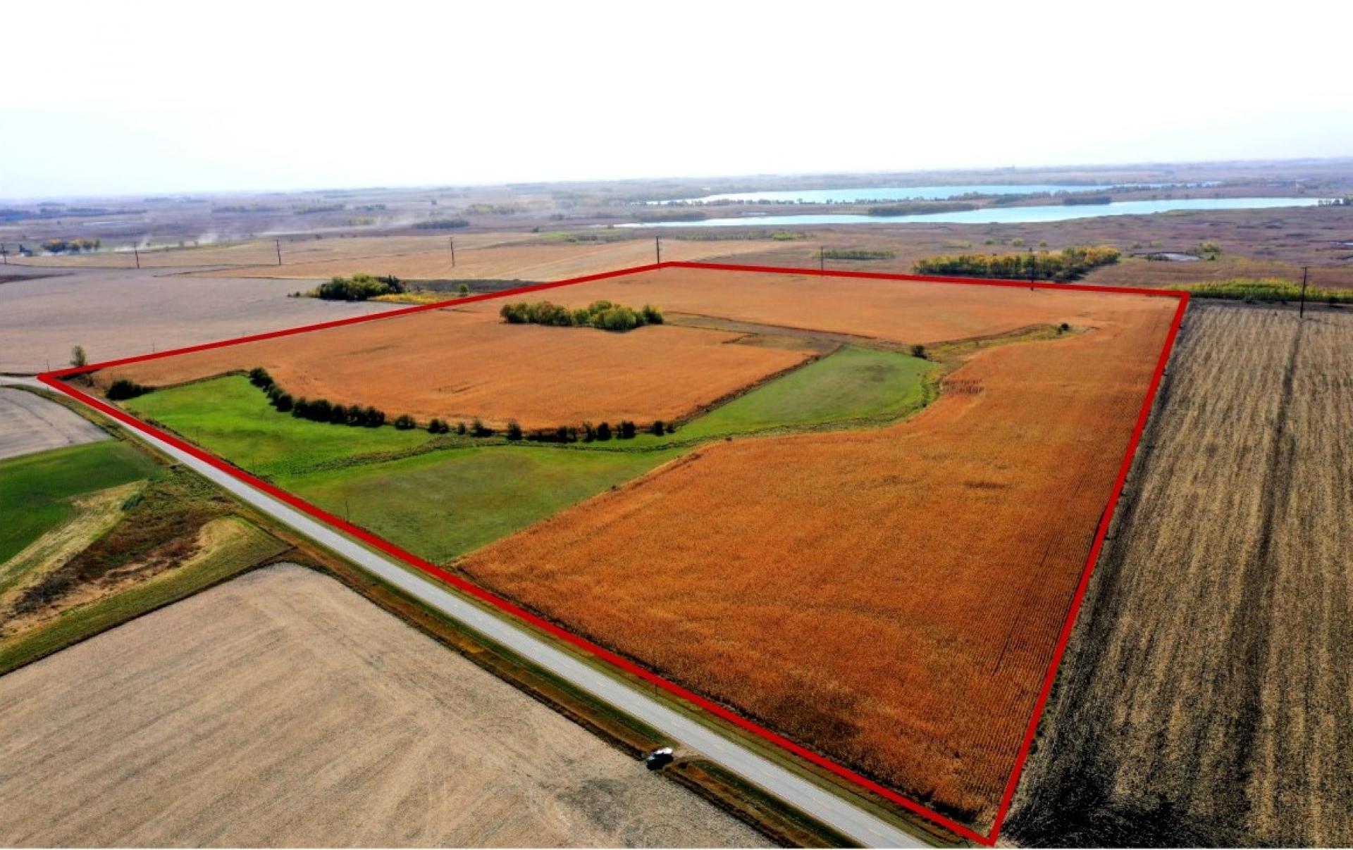 142 Acres m/l Clay County Lake Township Midwest Land Management