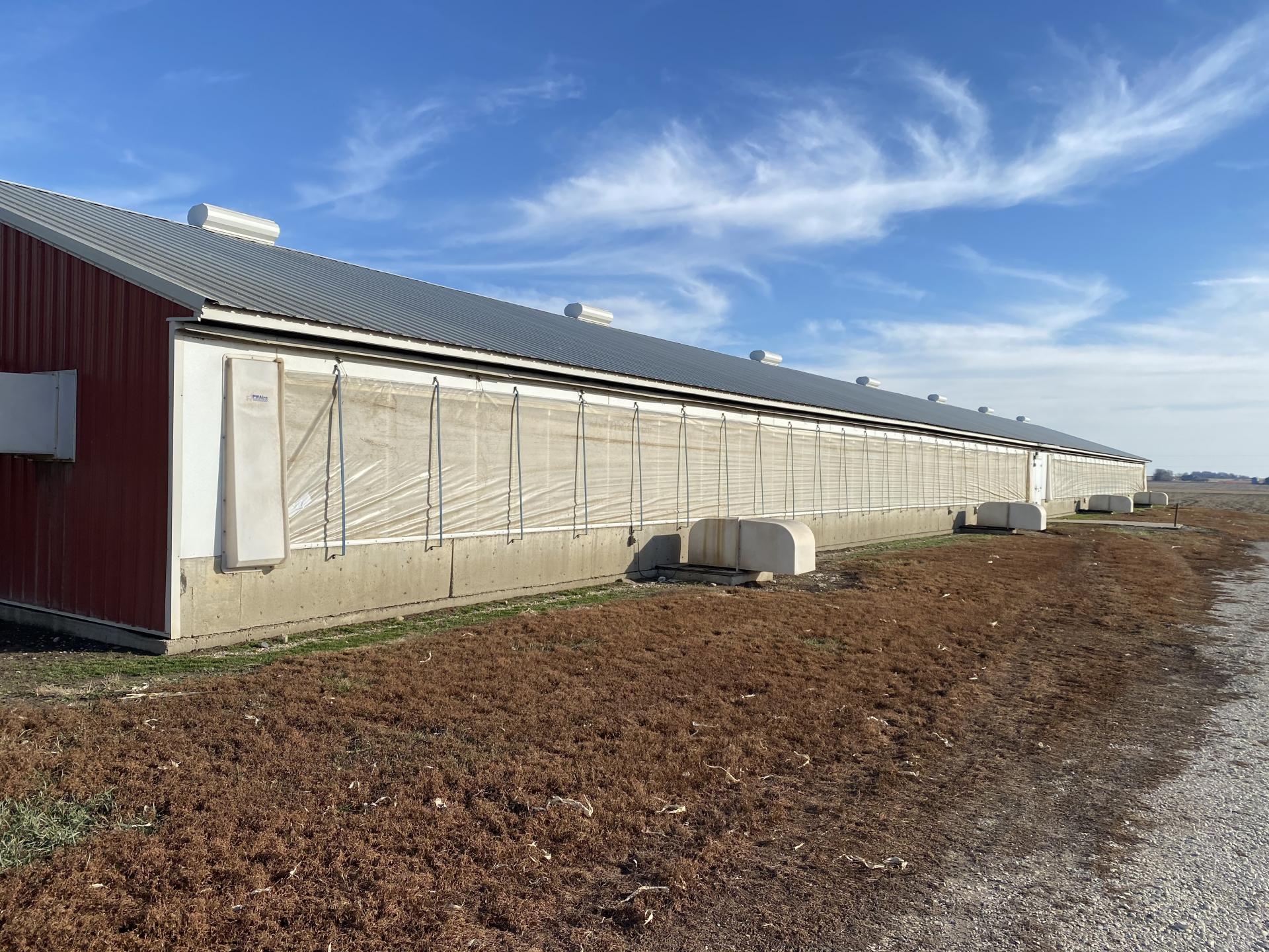 2 2080 Head Hog Facilities Clay County Herdland Township Midwest