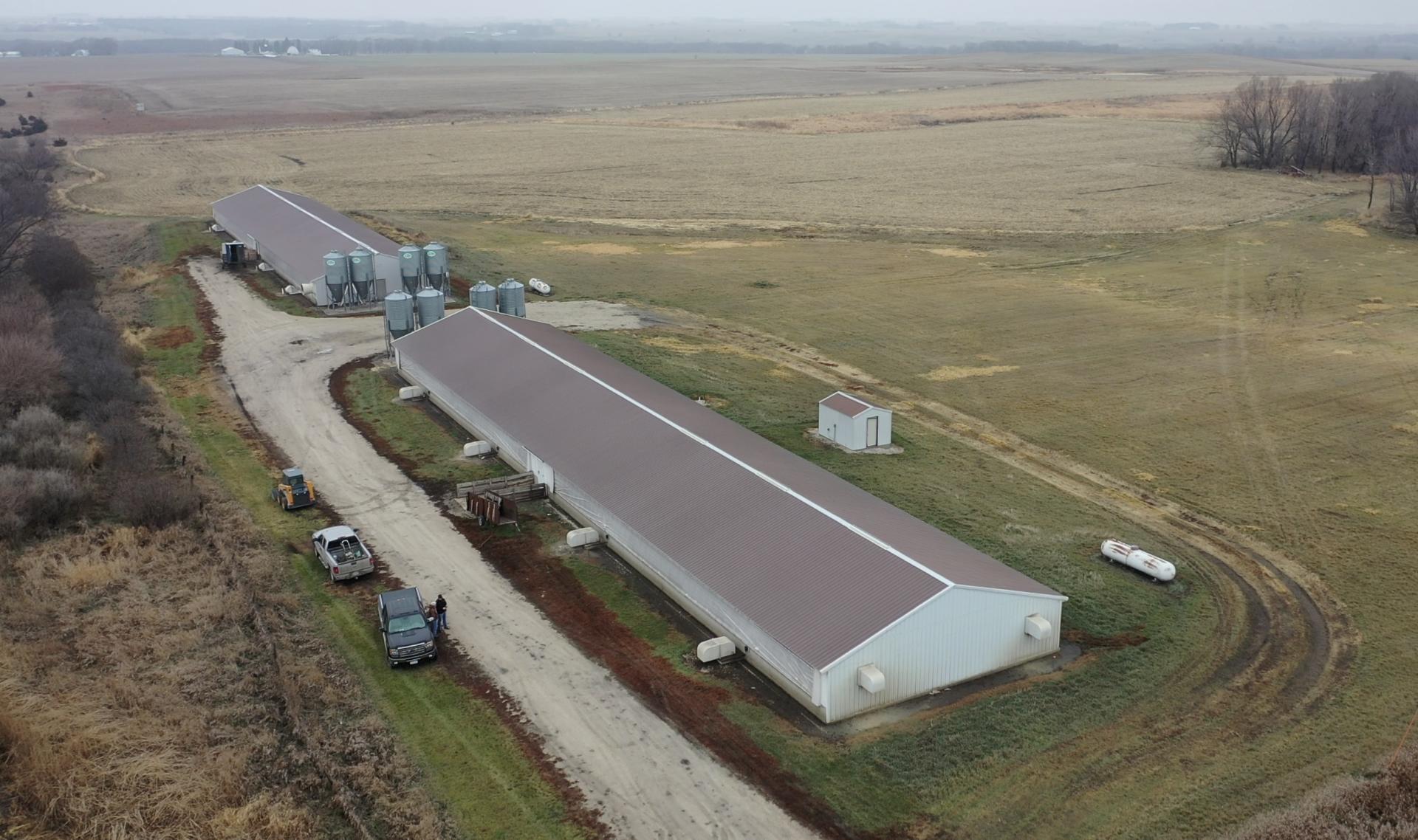 2 2080 Head Hog Facilities Clay County Herdland Township Midwest