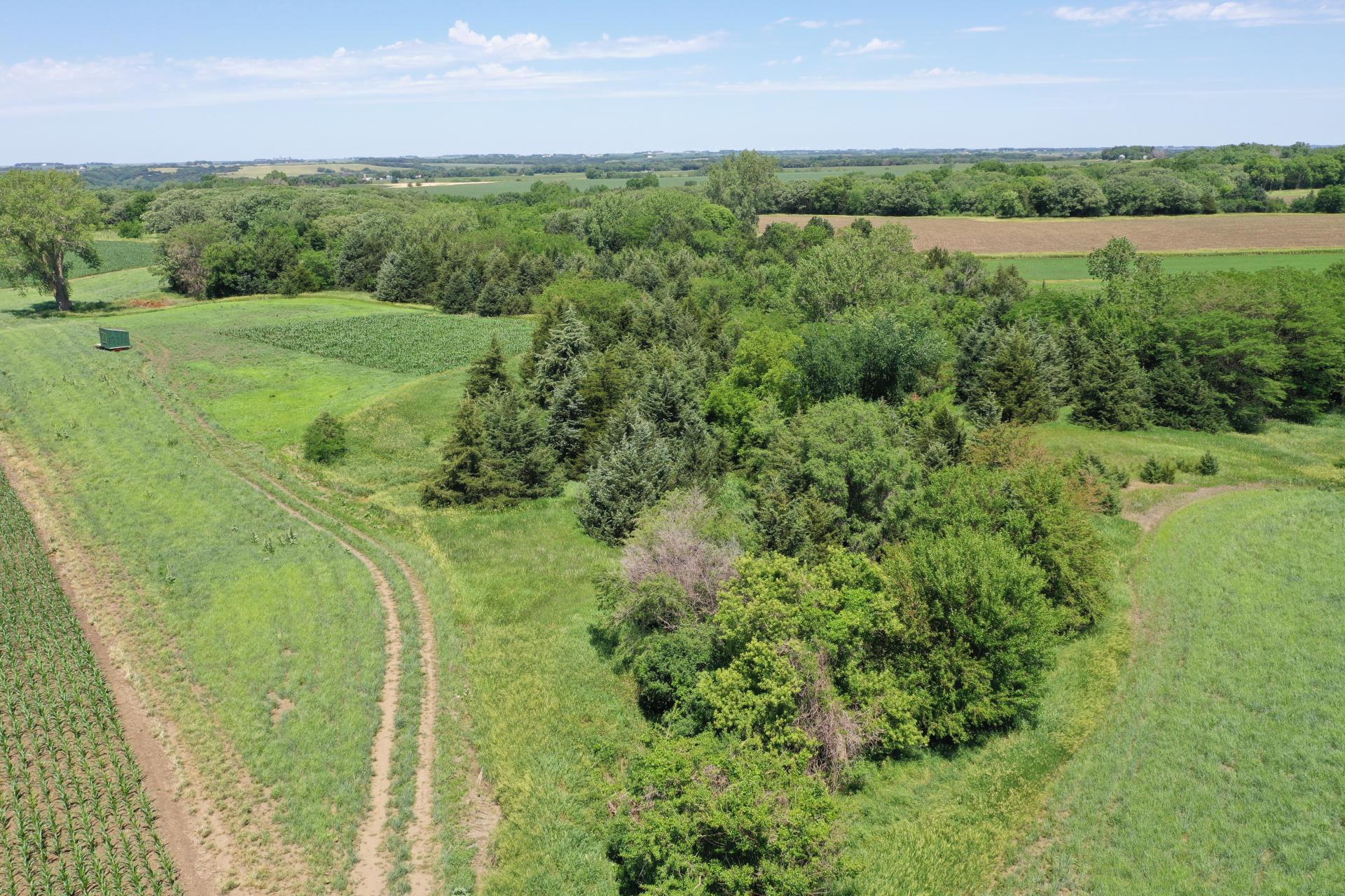 23.5 Acres Cropland & Timber Cherokee County Afton Township Midwest