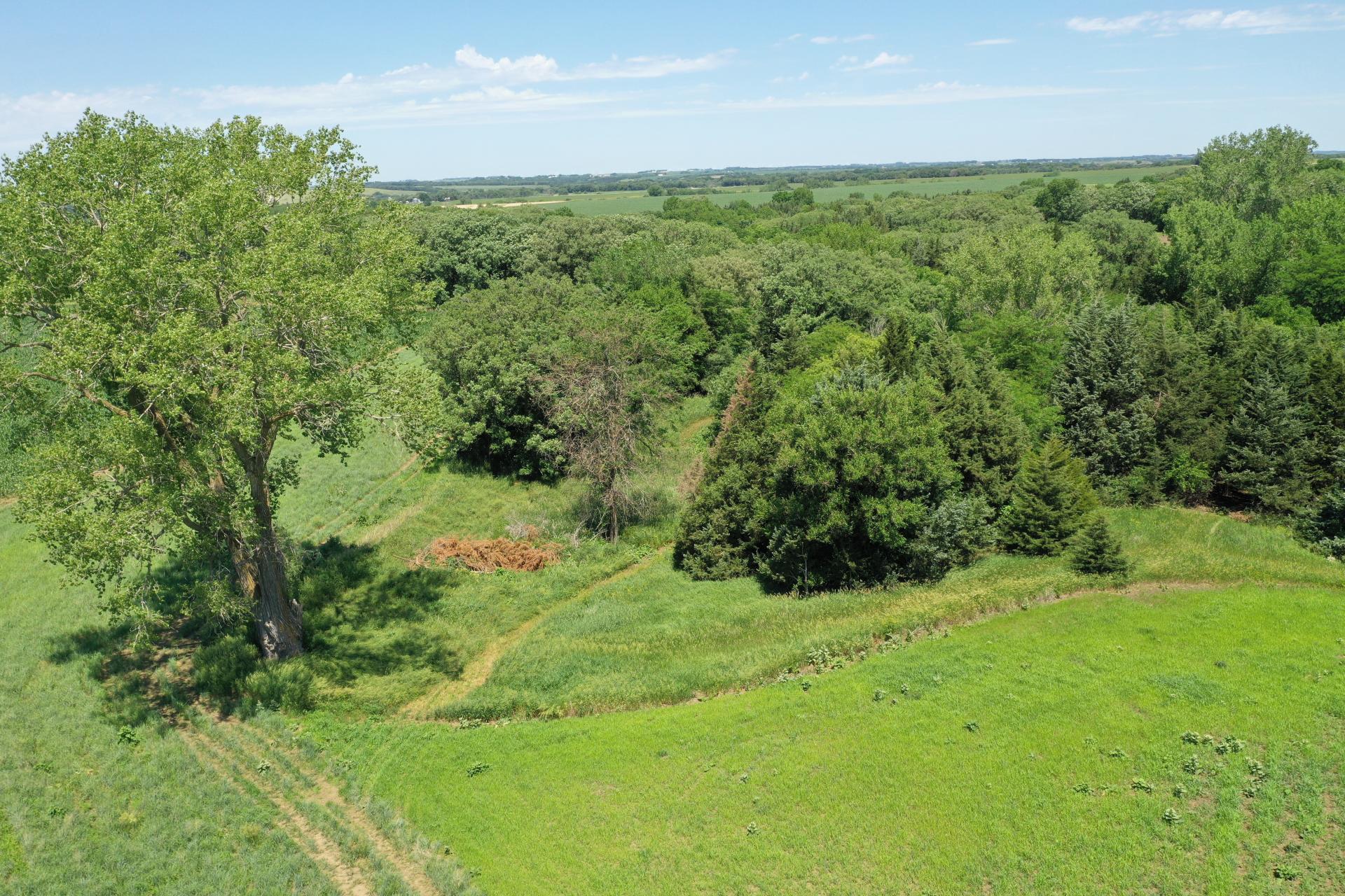 23.5 Acres Cropland & Timber Cherokee County Afton Township Midwest