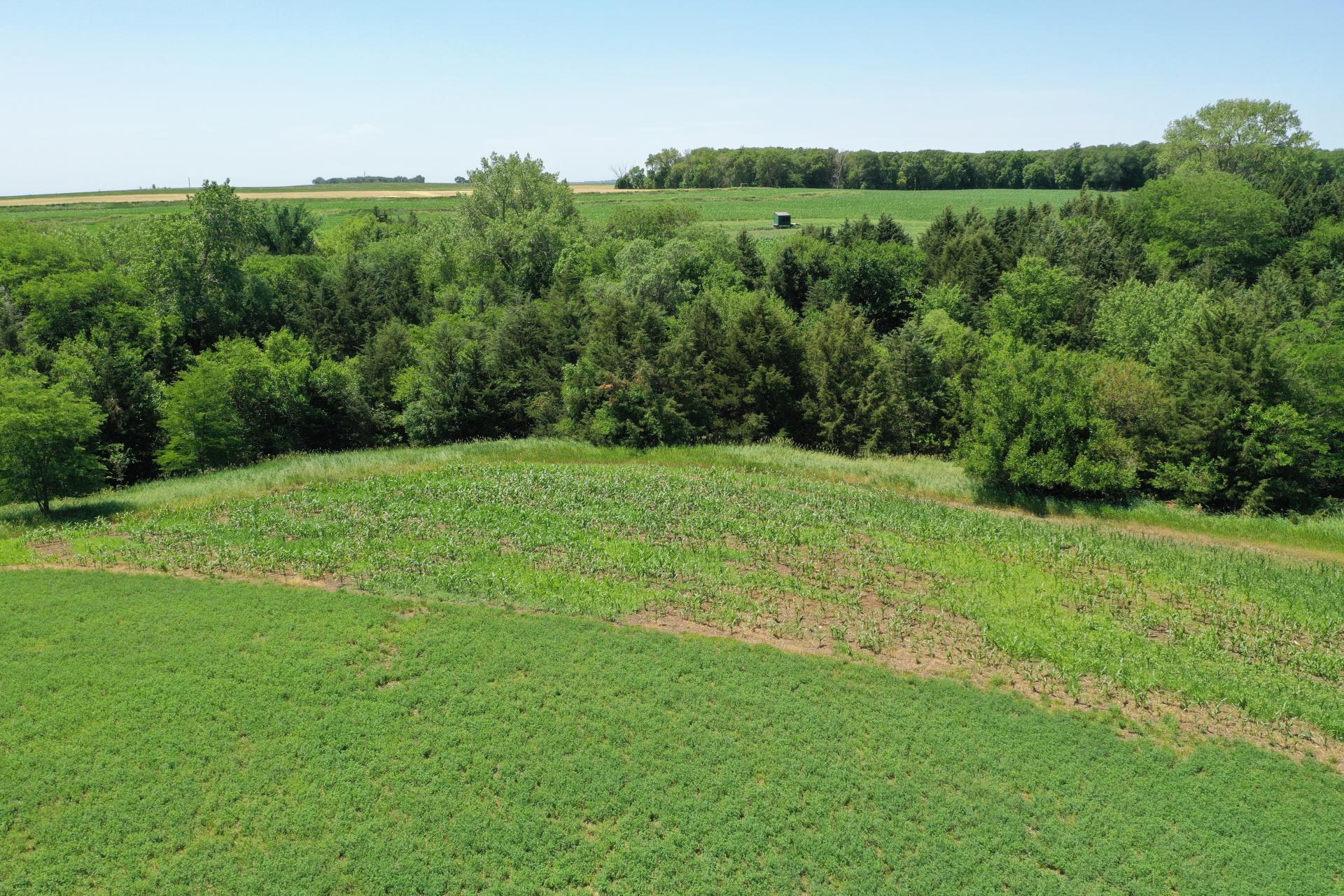 23.5 Acres Cropland & Timber Cherokee County Afton Township Midwest