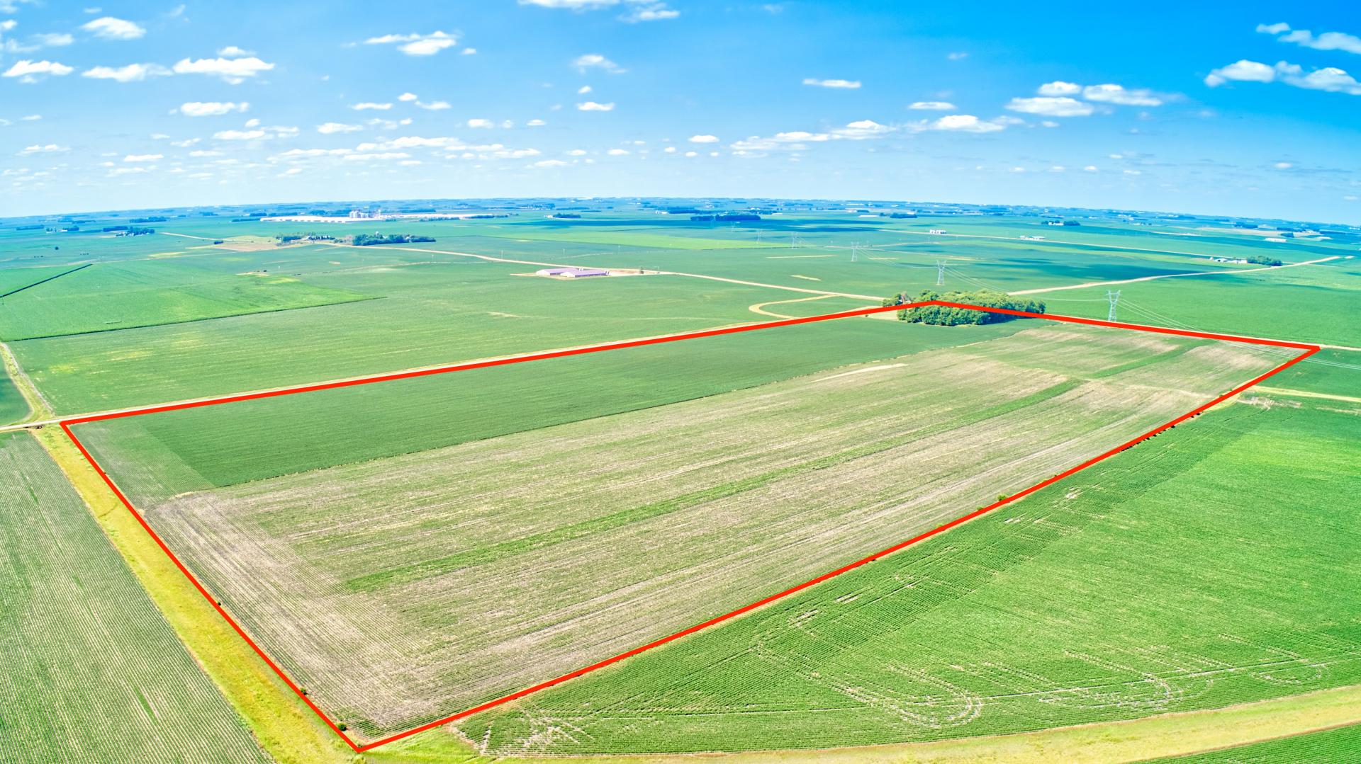 80 Acres m/l Osceola County Allison Township Midwest Land Management