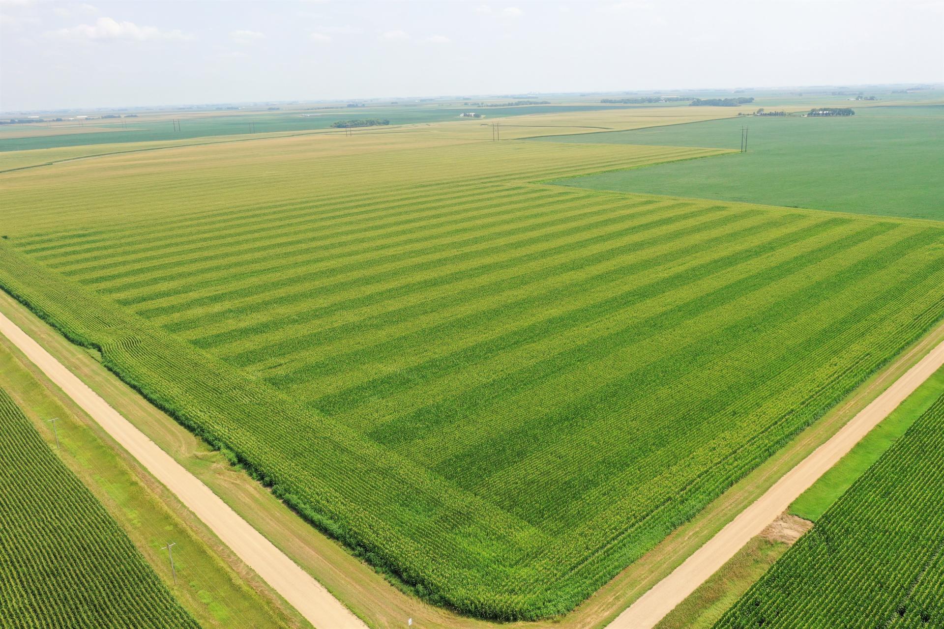 116 Acres m/l Calhoun County Cedar Township Midwest Land Management