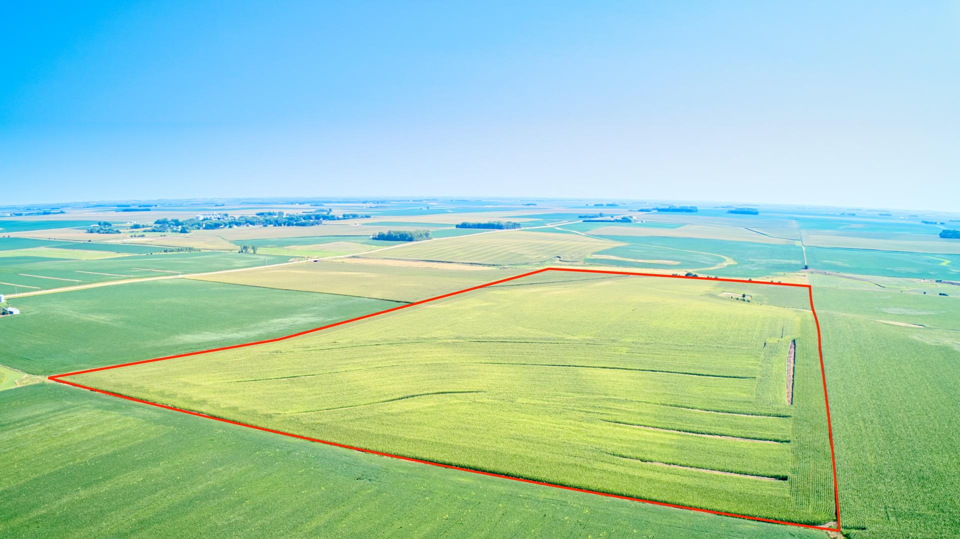 79.55 Surveyed Acres O'Brien County Liberty Township Midwest Land