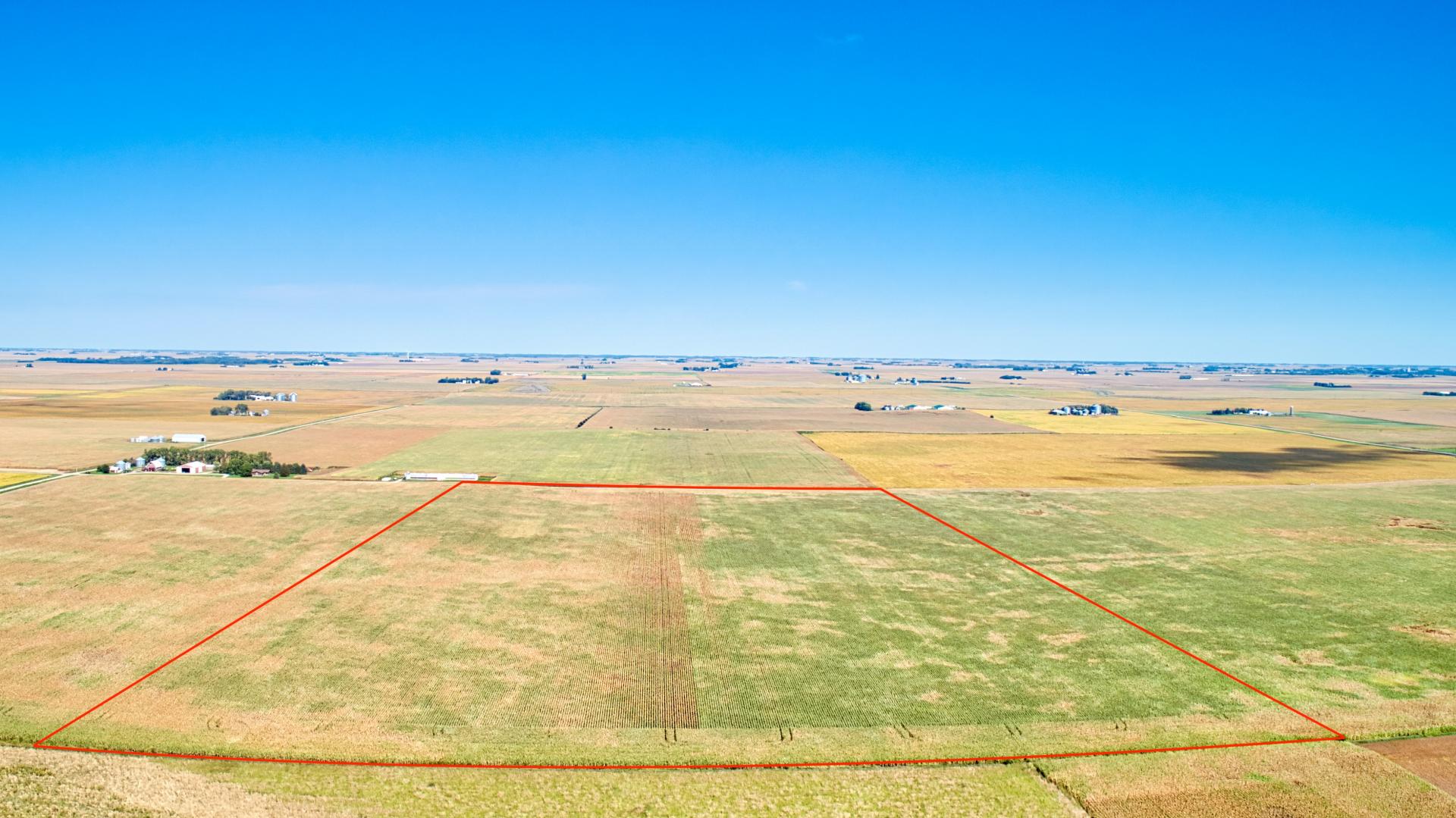 302.31 Acres Selling in 4 Tracts Emmet County Denmark Township