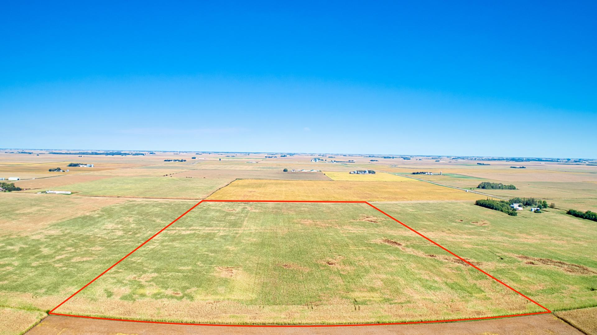 302.31 Acres Selling in 4 Tracts Emmet County Denmark Township