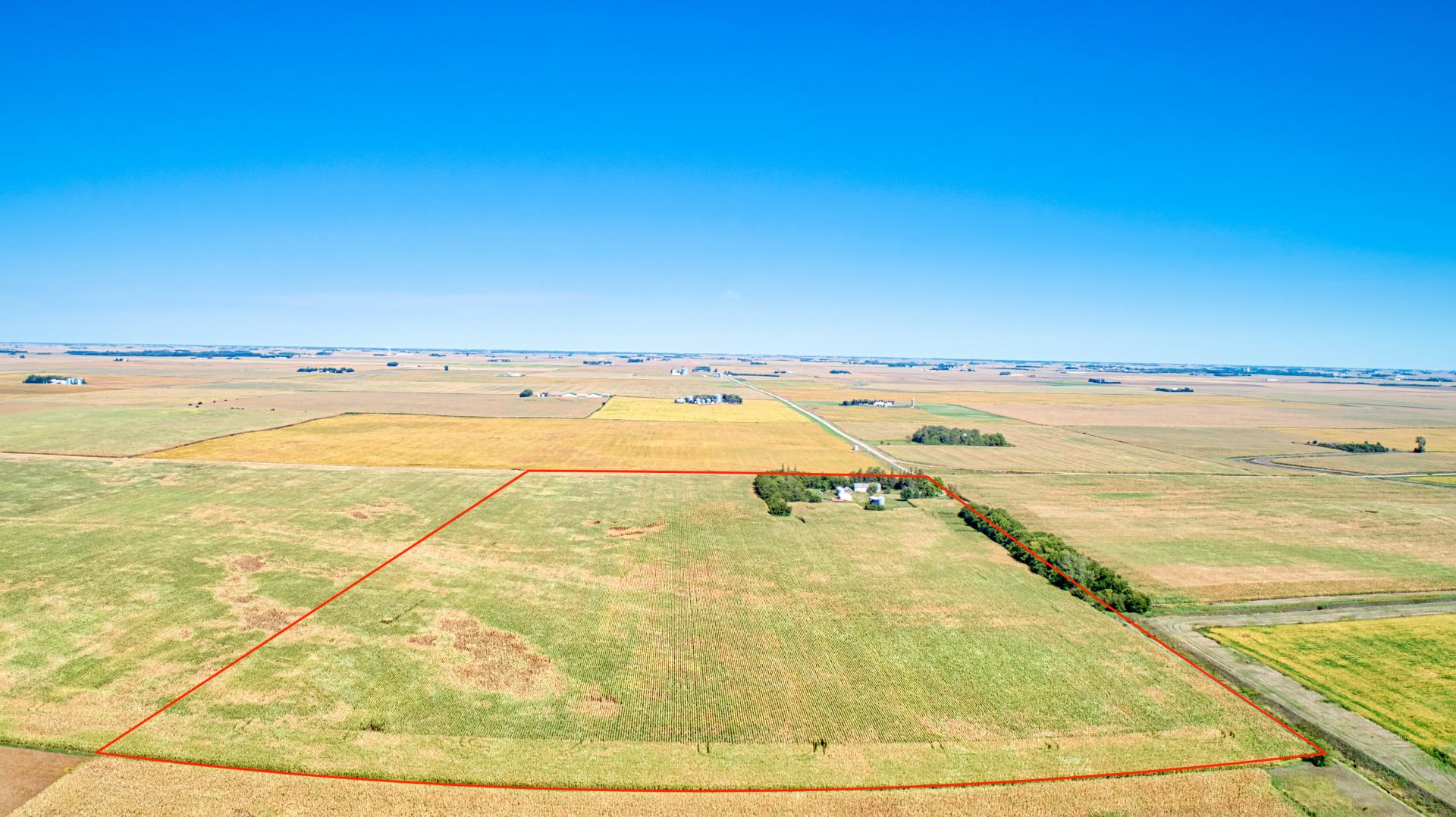 302.31 Acres Selling in 4 Tracts Emmet County Denmark Township