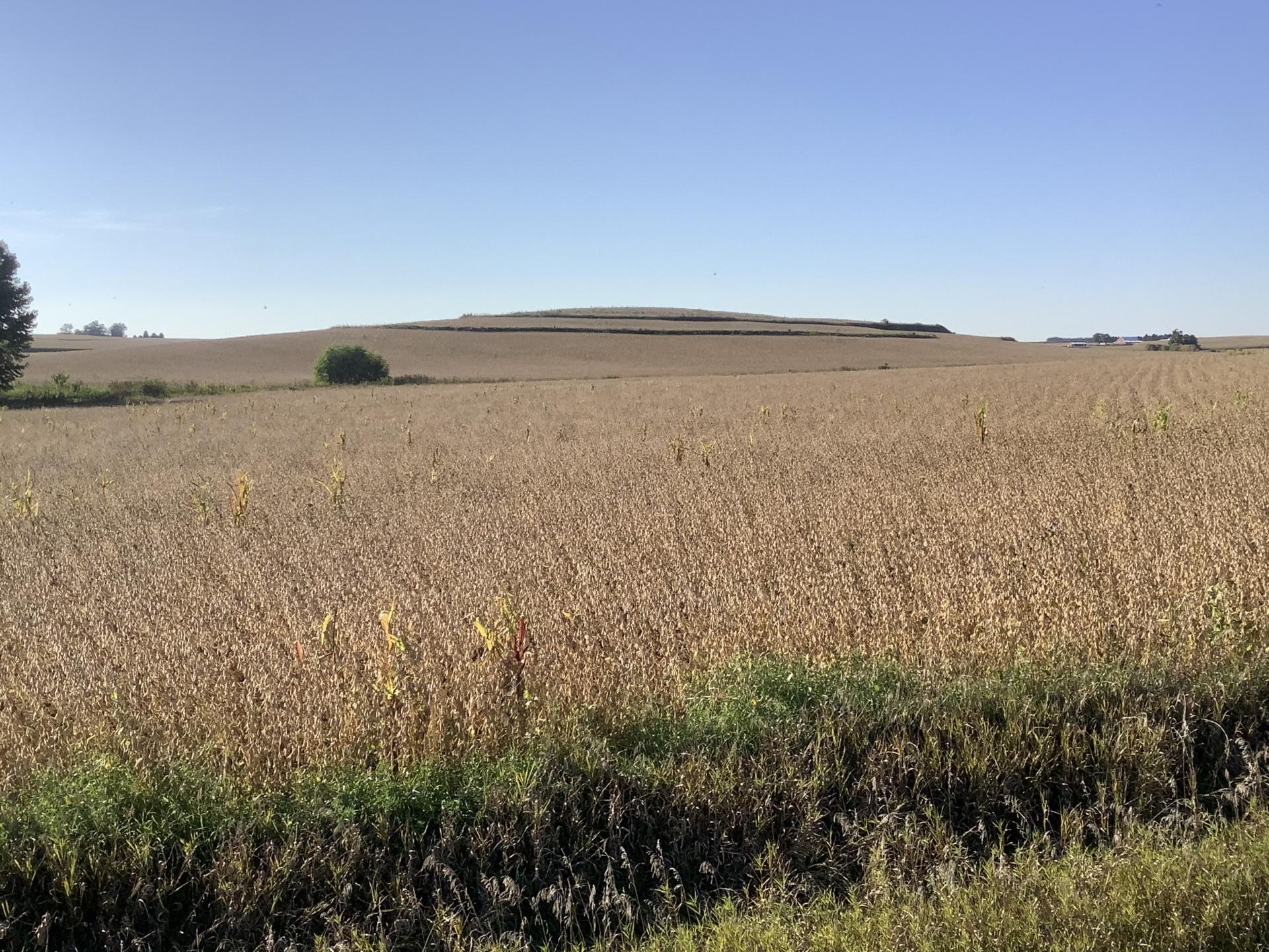 113.02 Surveyed Acres Ida County Battle Township Midwest Land