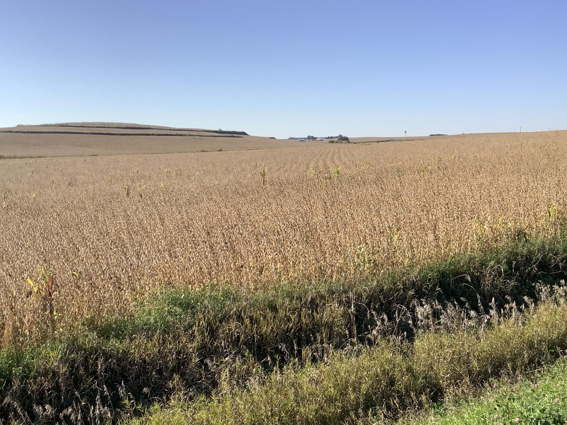 113.02 Surveyed Acres Ida County Battle Township Midwest Land