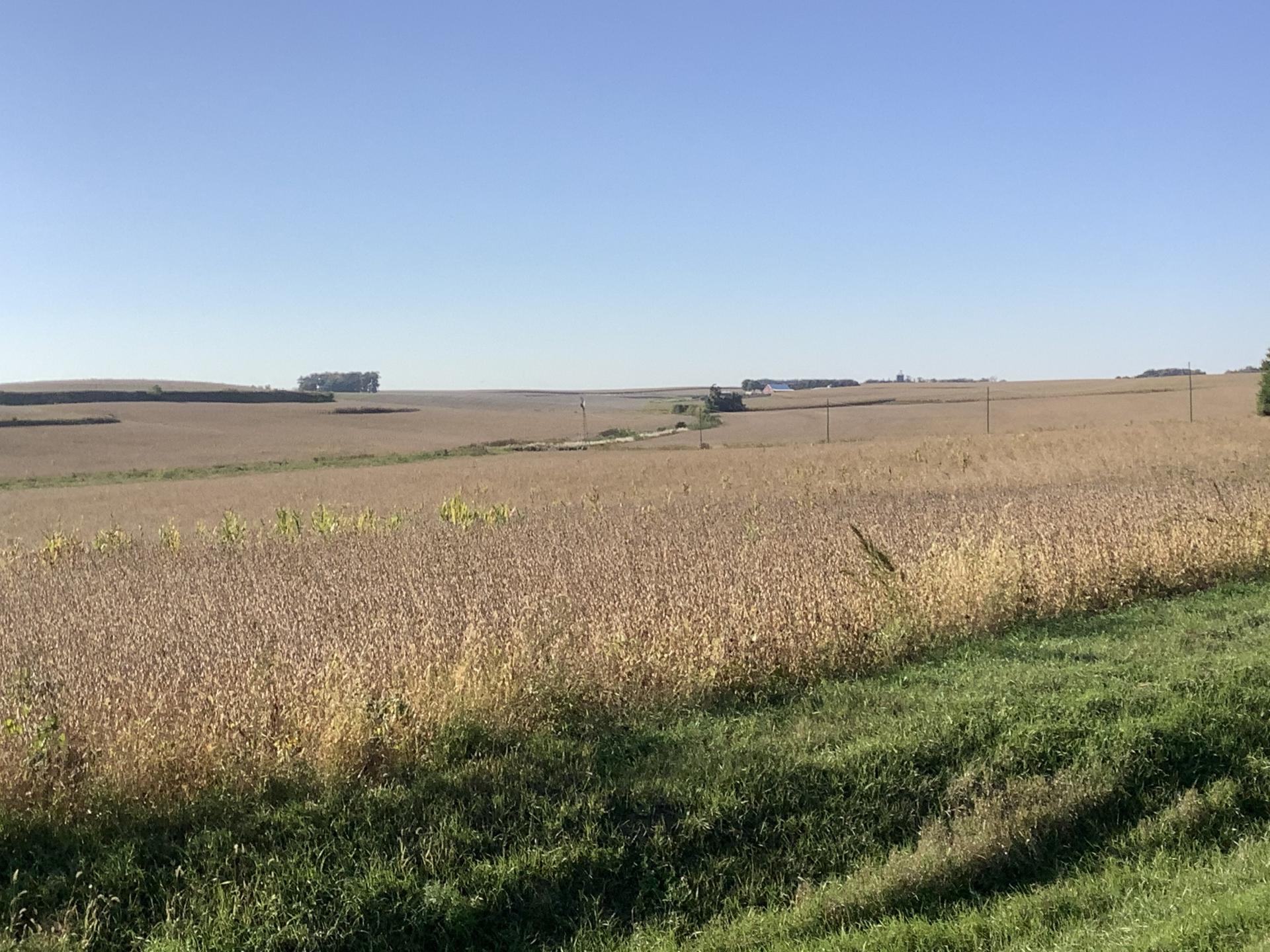 113.02 Surveyed Acres Ida County Battle Township Midwest Land