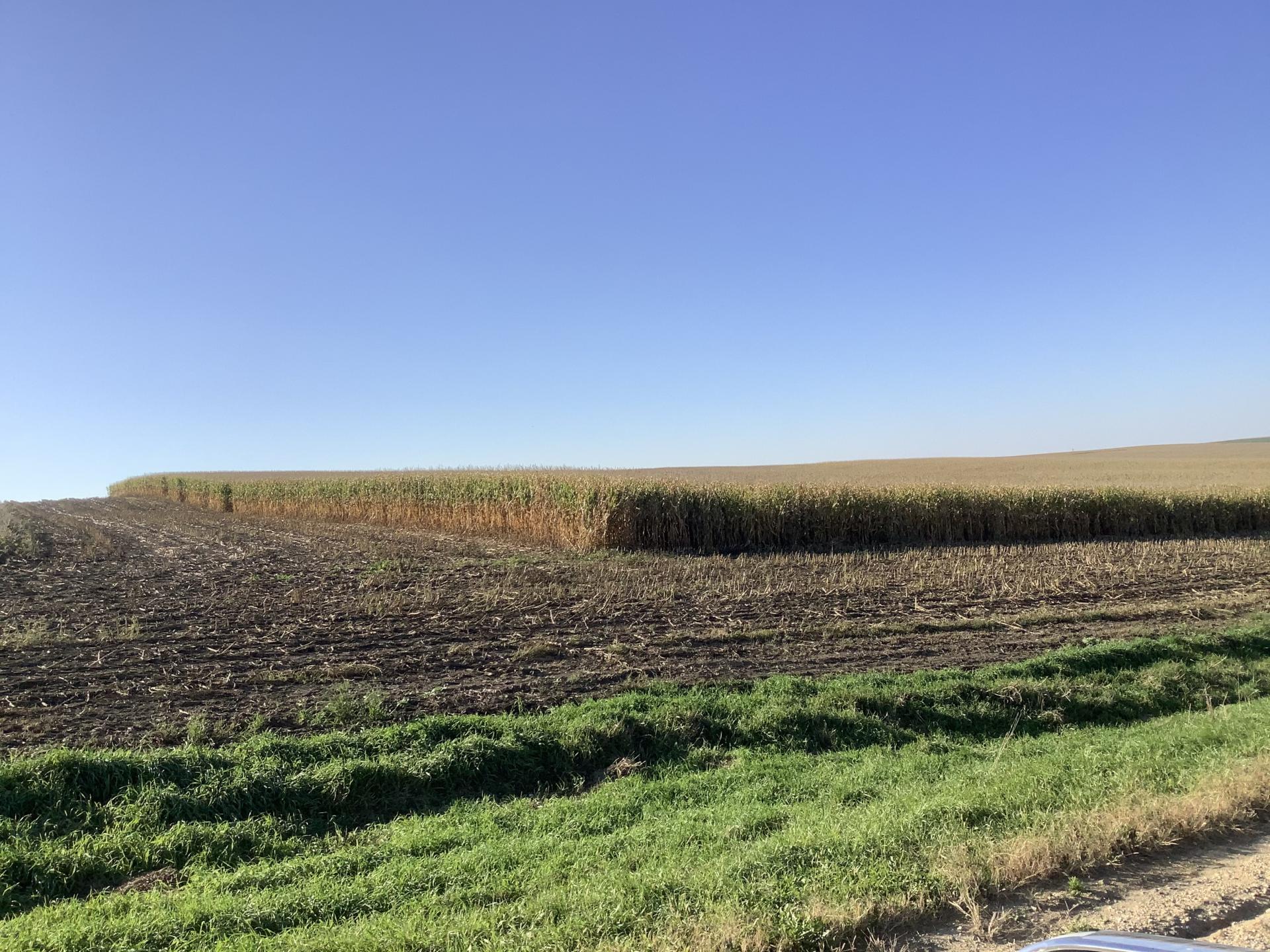 113.02 Surveyed Acres Ida County Battle Township Midwest Land