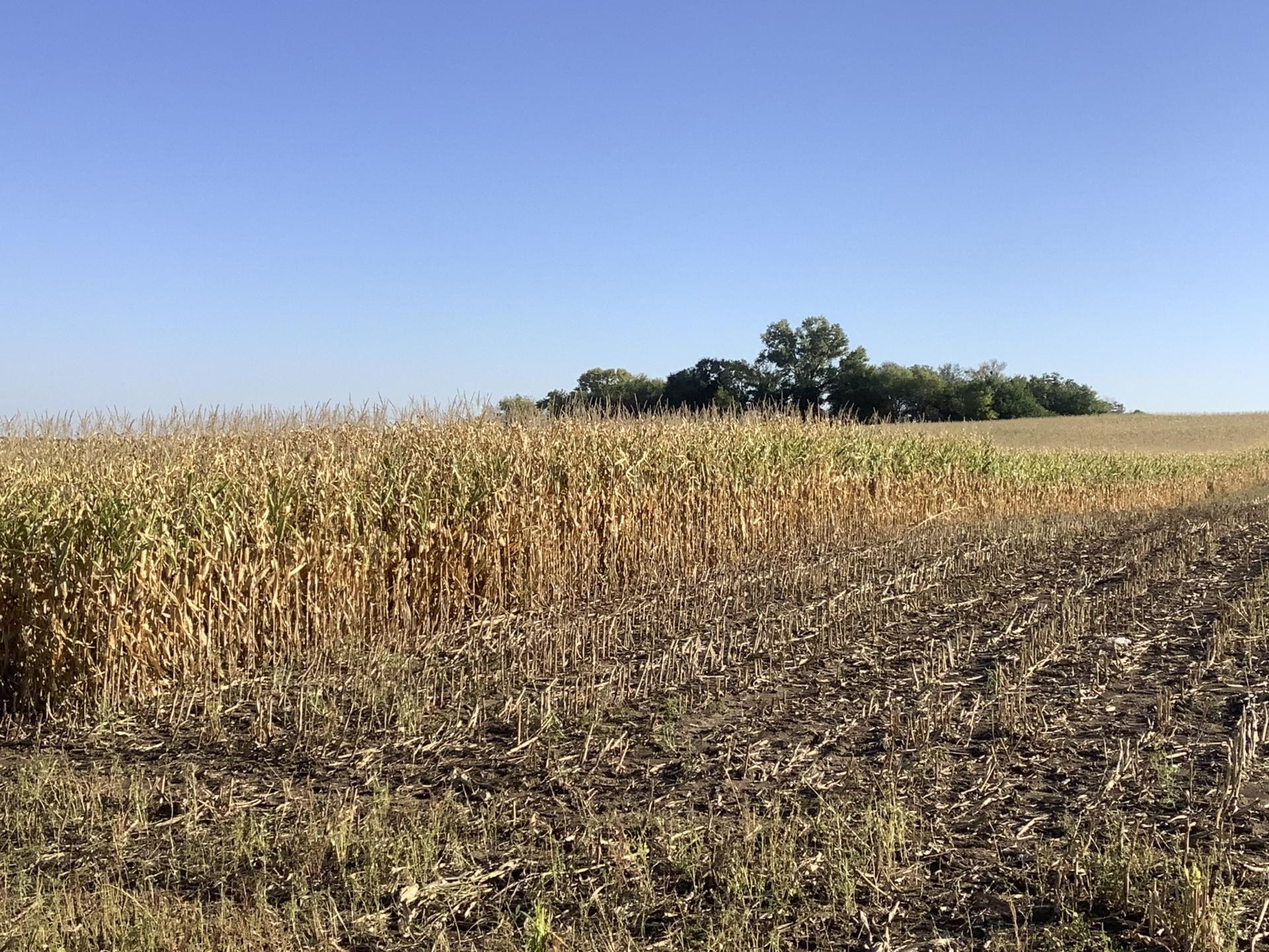 113.02 Surveyed Acres Ida County Battle Township Midwest Land