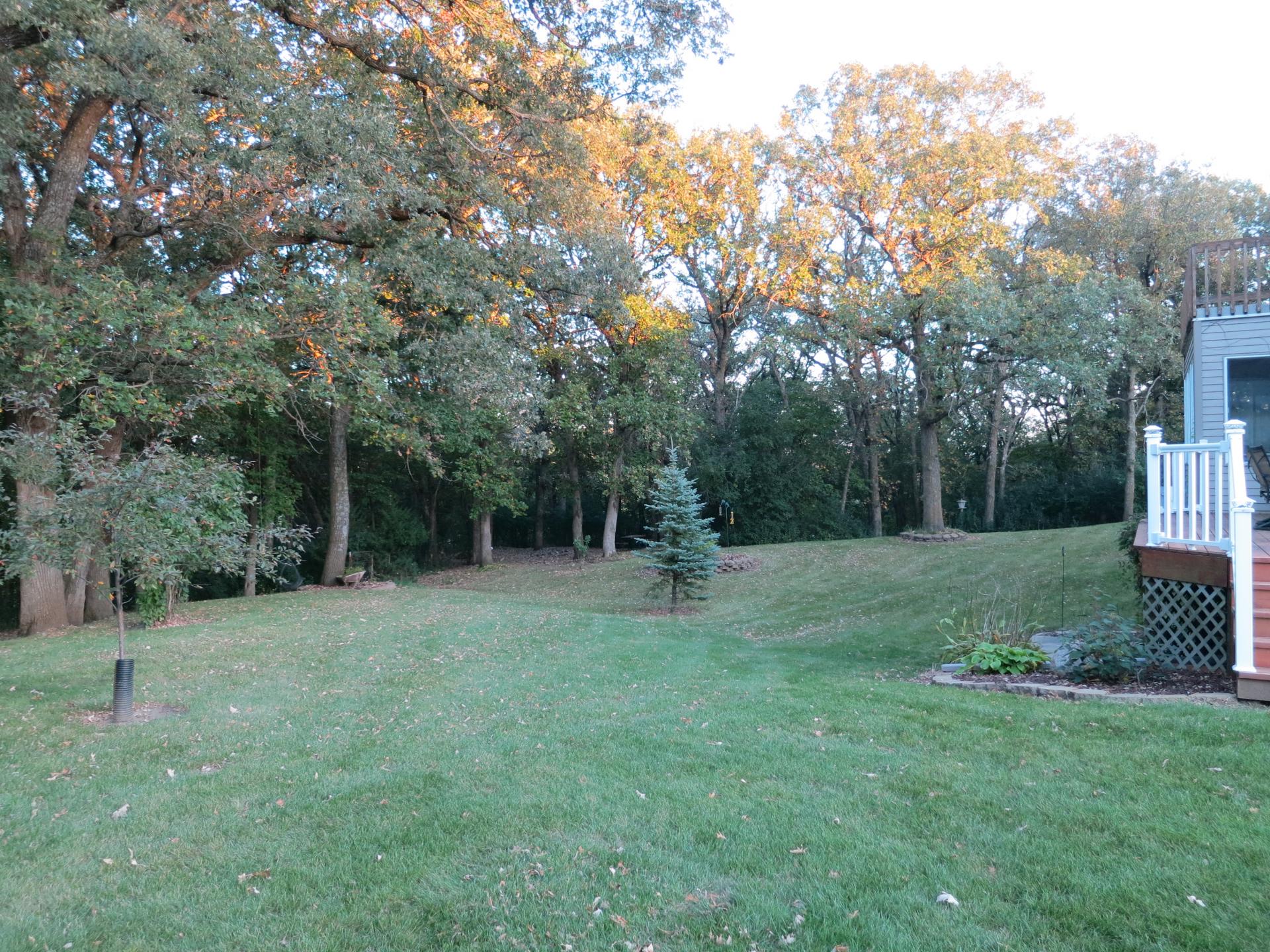 18.54 Acre Acreage Buena Vista County Midwest Land Management & Real Estate Farm