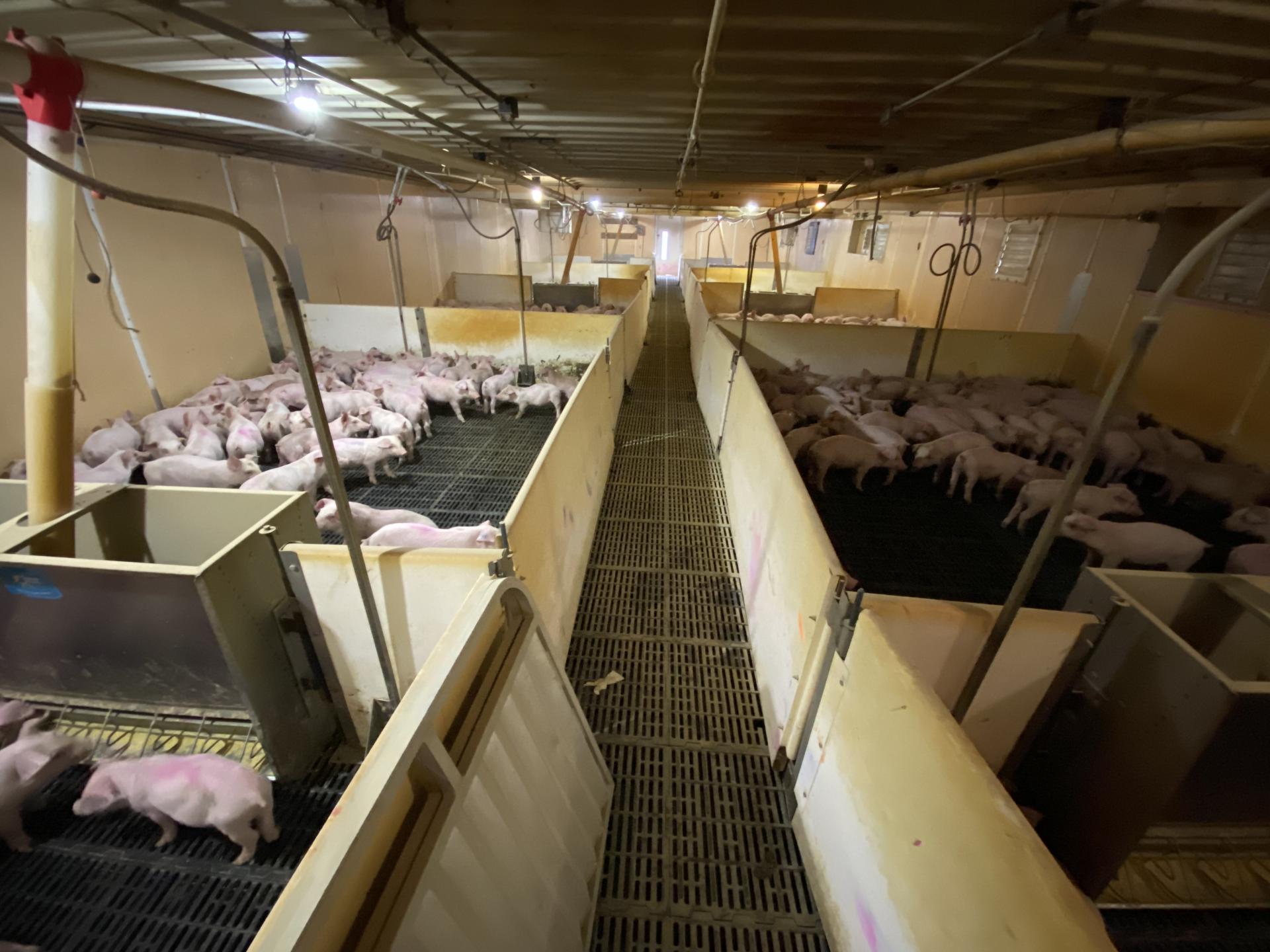 2 Story Home on 10.25 Acres Osceola County Allison Township Midwest