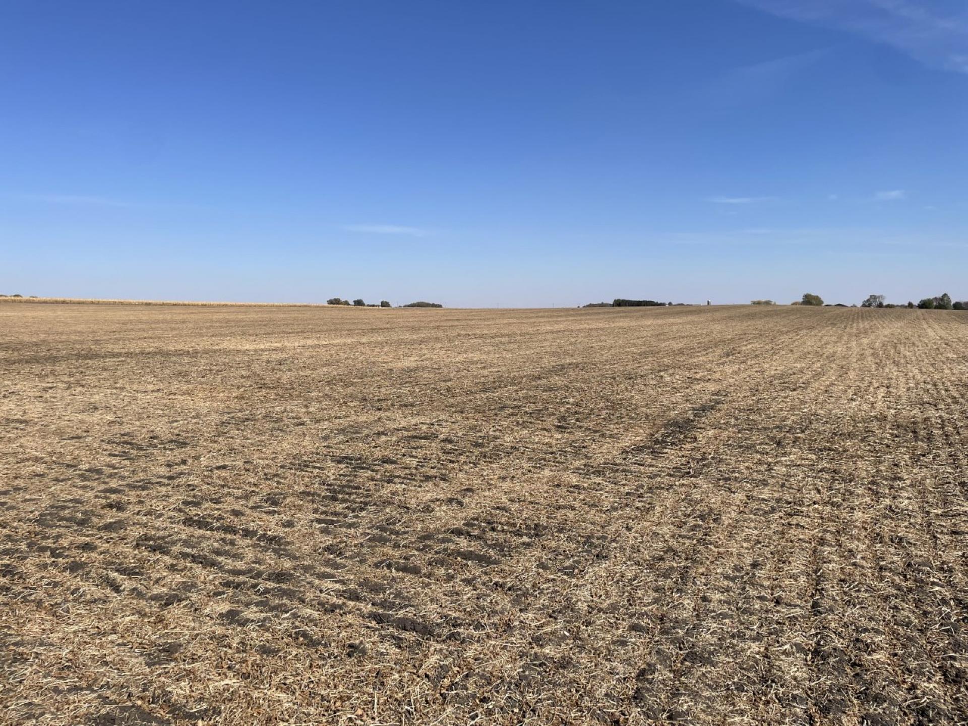 114.23 Surveyed Acres Clay County Riverton Township Midwest Land