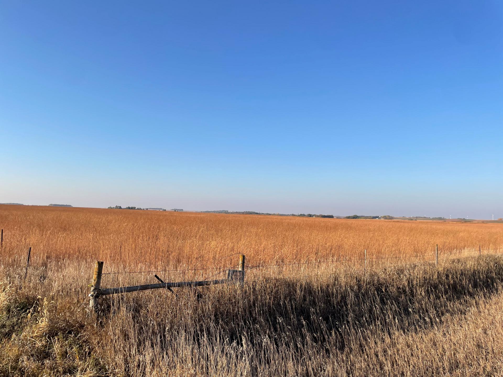 80 Acres m/l Dickinson County Okoboji Township Midwest Land