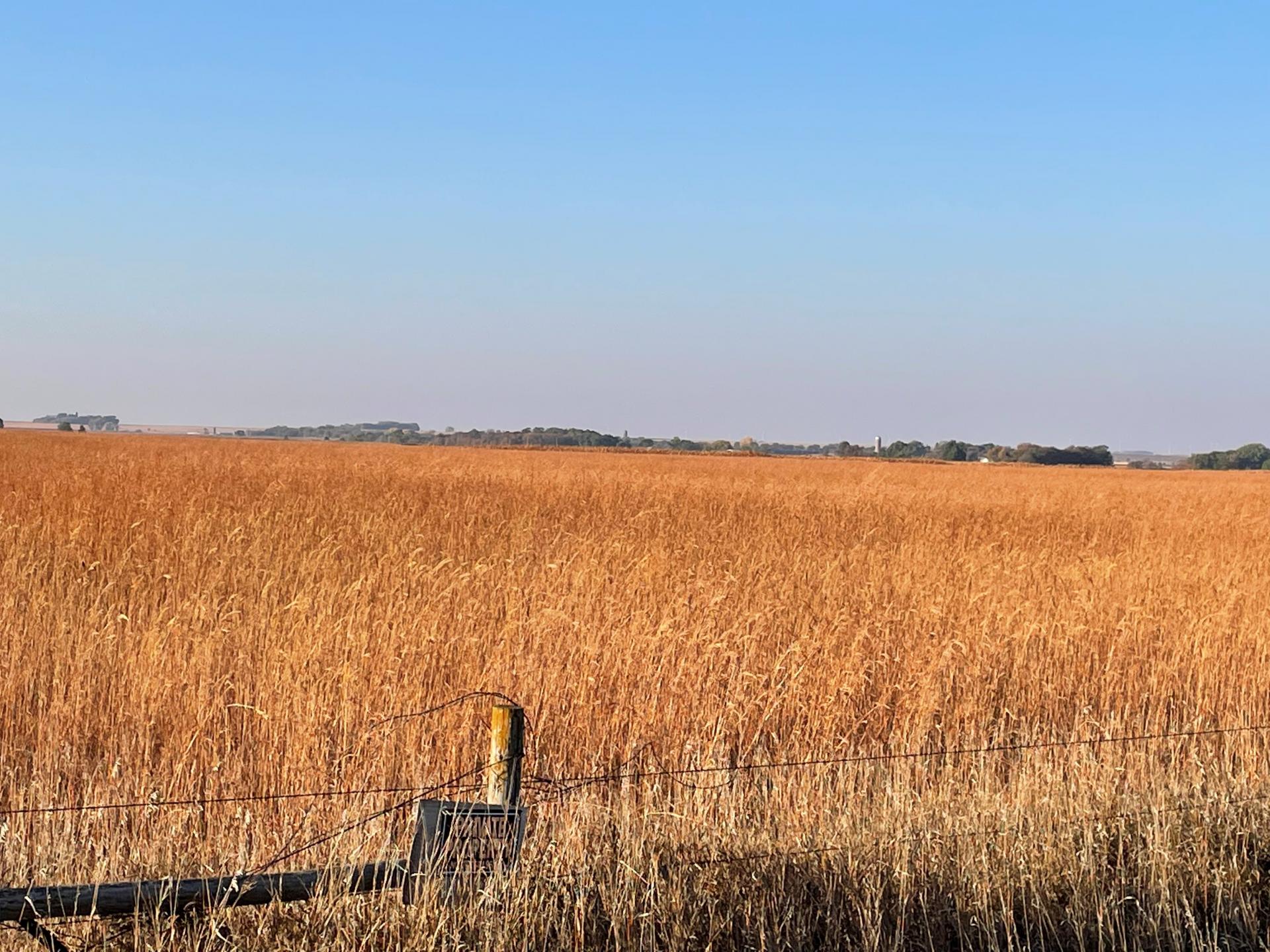 80 Acres m/l Dickinson County Okoboji Township Midwest Land