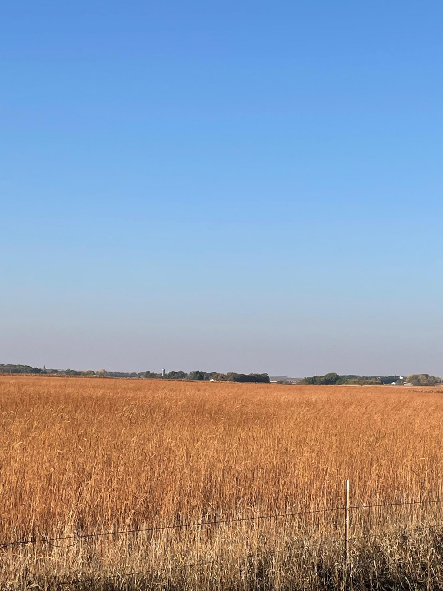 80 Acres m/l Dickinson County Okoboji Township Midwest Land