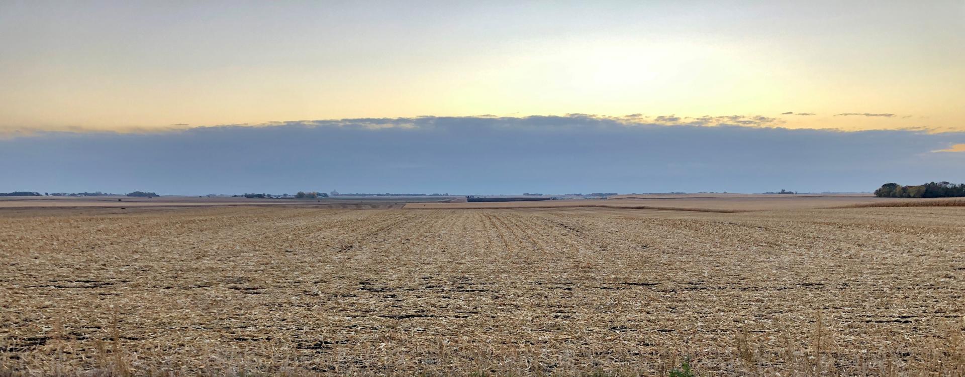 191 Acres m/l Palo Alto County Rush Lake Township Midwest Land