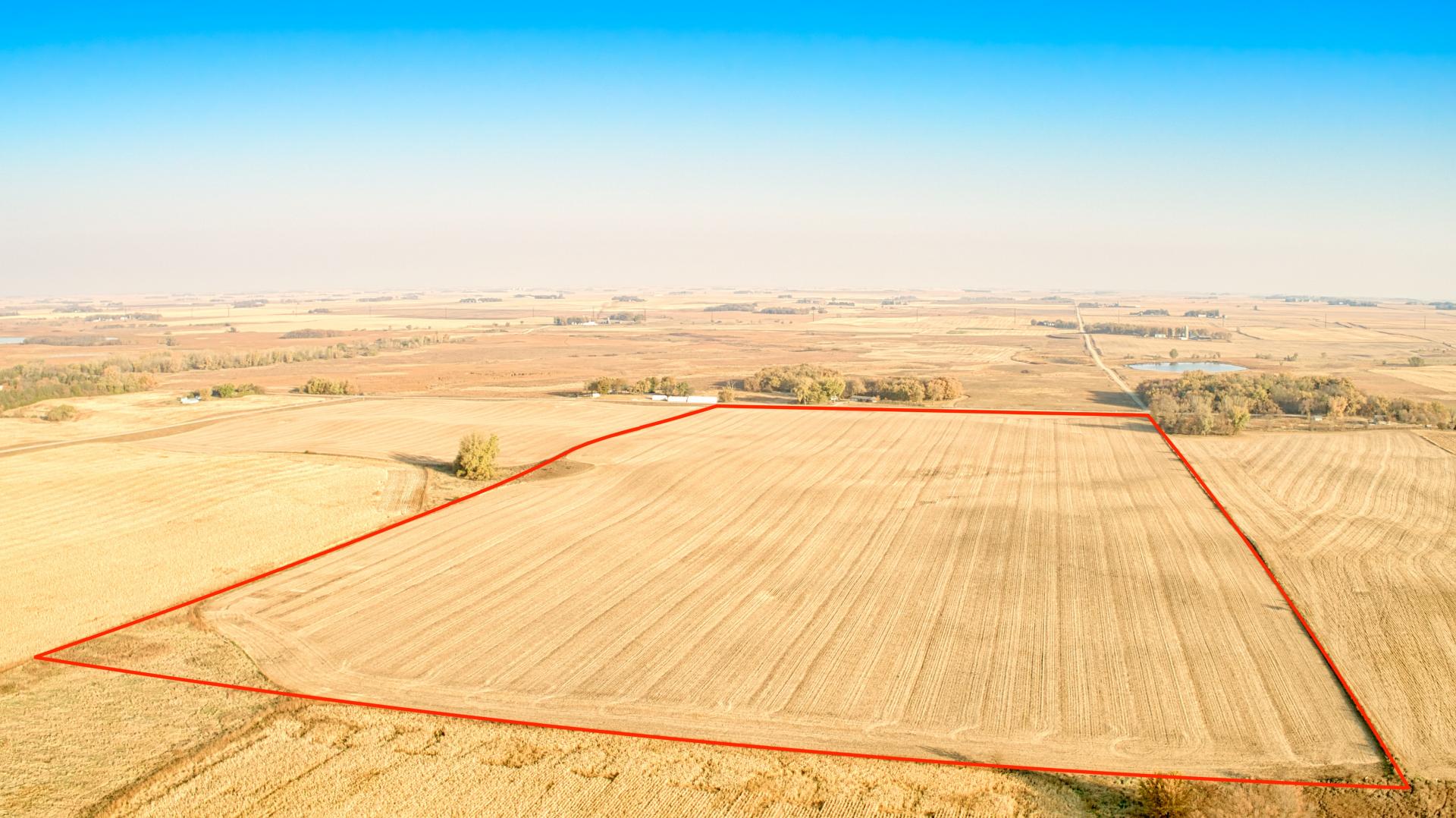 80 Acres m/l Palo Alto County Lost Island Township Midwest Land