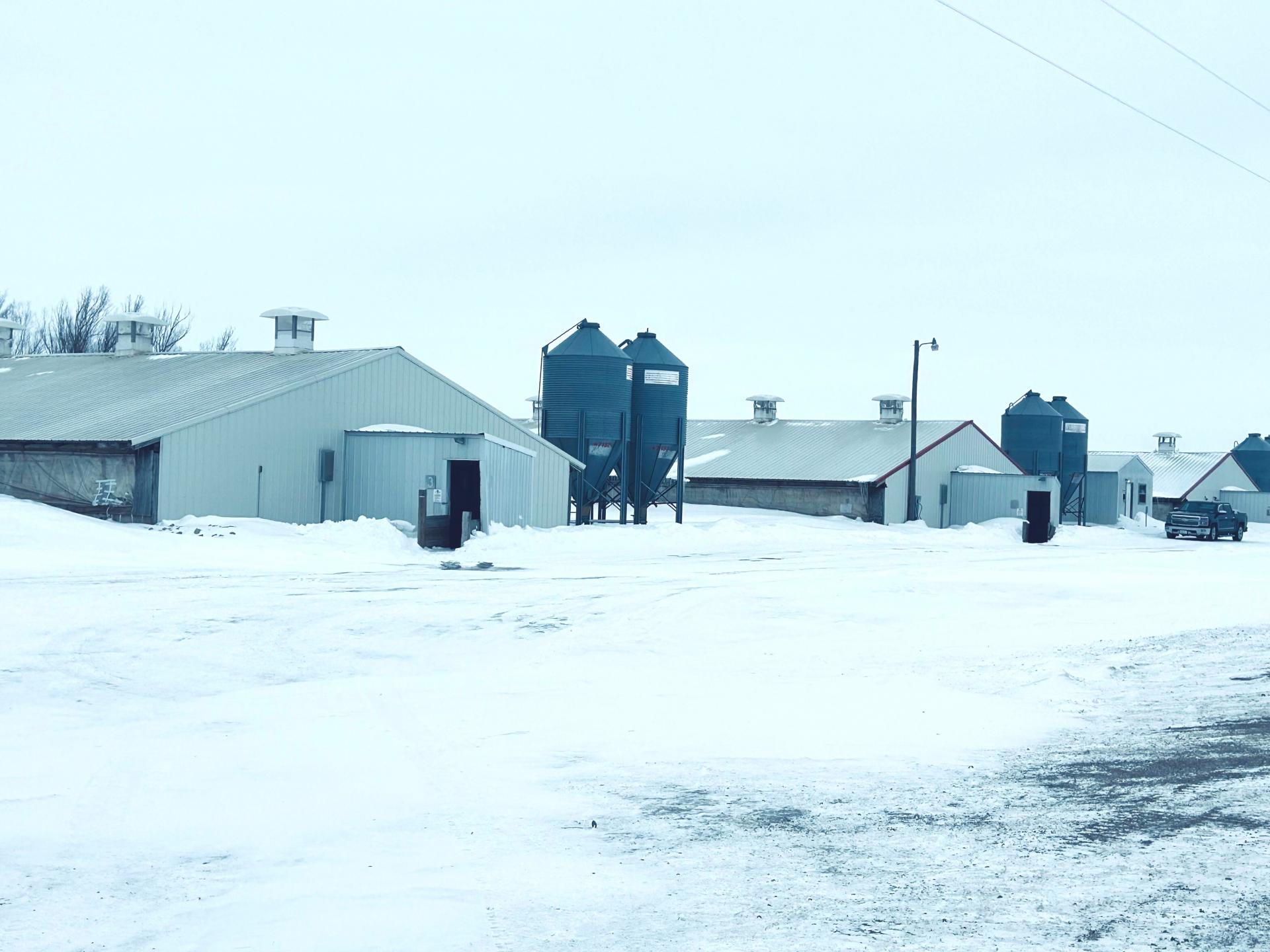 3,300 Head Finishing Site Osceola County Ocheyedan Township Midwest Land Management & Real