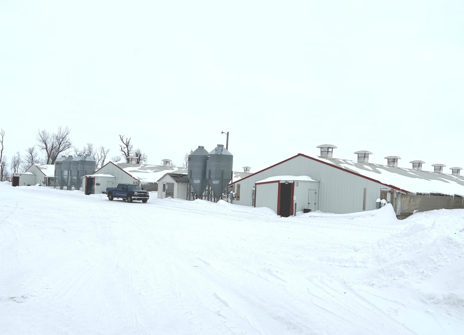 3,300 Head Finishing Site Osceola County Goewey Township Midwest