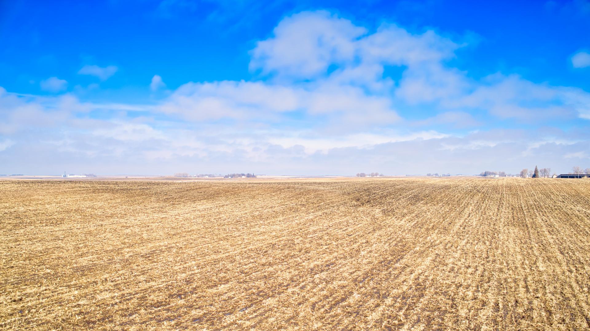 80 Acres m/l Buena Vista County Lee Township Midwest Land Management & Real Estate Farm