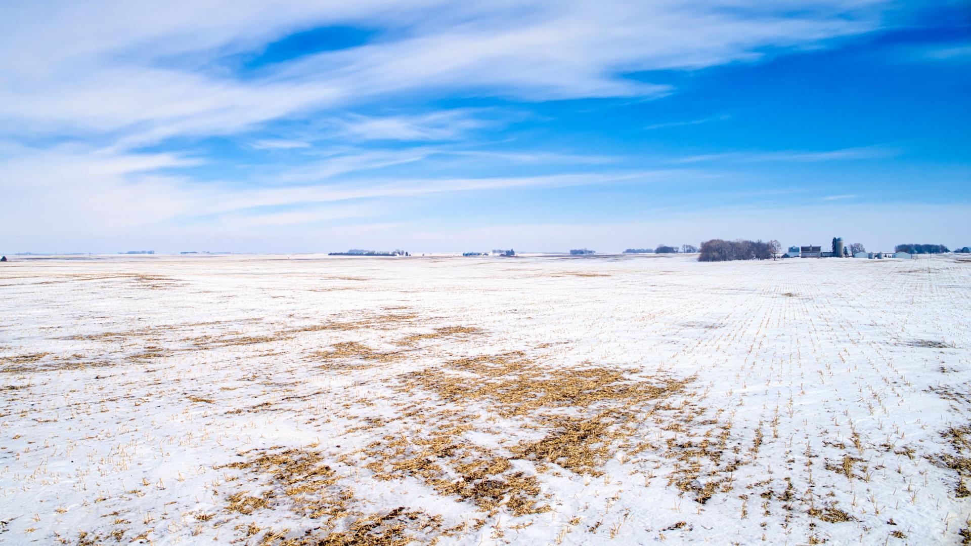 80.11 Acres Dickinson County Lloyd Township Midwest Land Management