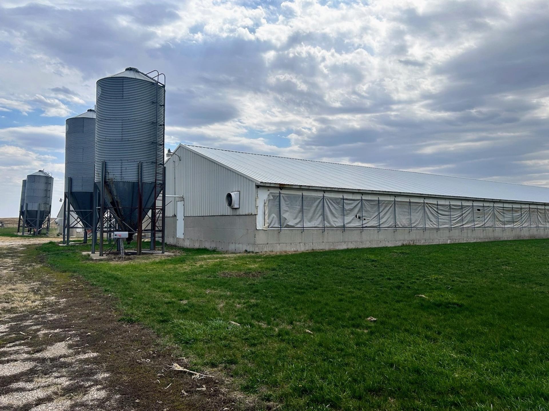 3,800 Head Swine Facility Sealed Bid Auction Palo Alto County Booth